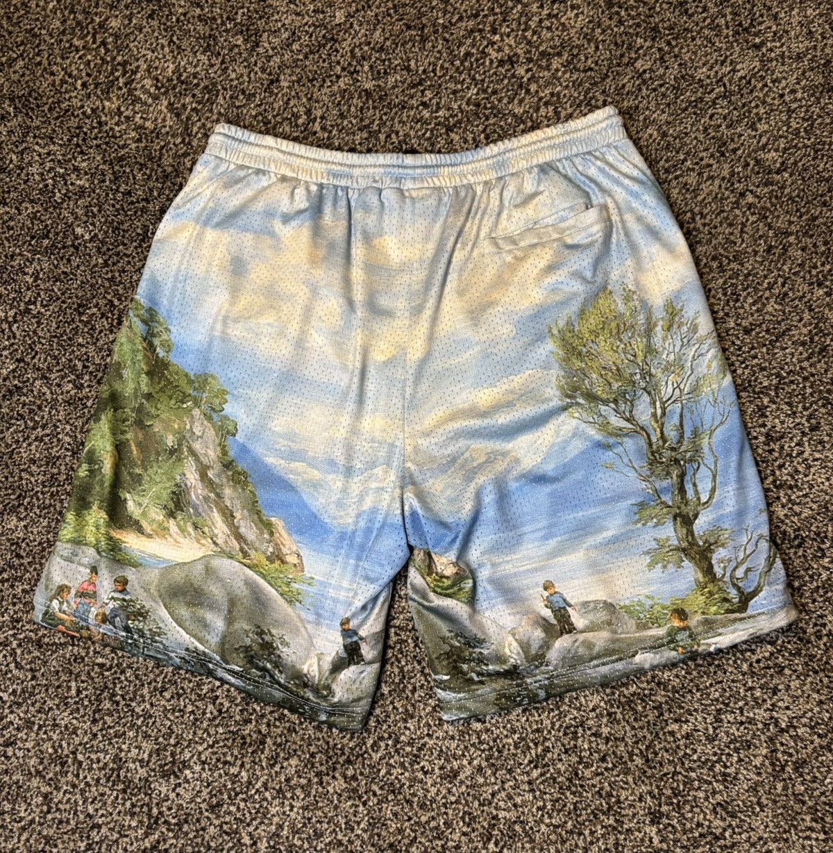 Fucking Awesome Fucking Awesome Landscape Mesh short Size US 38 / EU 54 - 5 Thumbnail