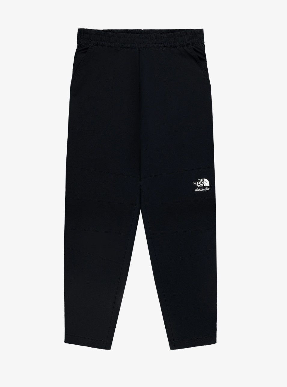 Aime Leon Dore Aime Leon Dore ALD The North Face Nylon Denali Pant Size 34 Size US 34 / EU 50 - 1 Thumbnail