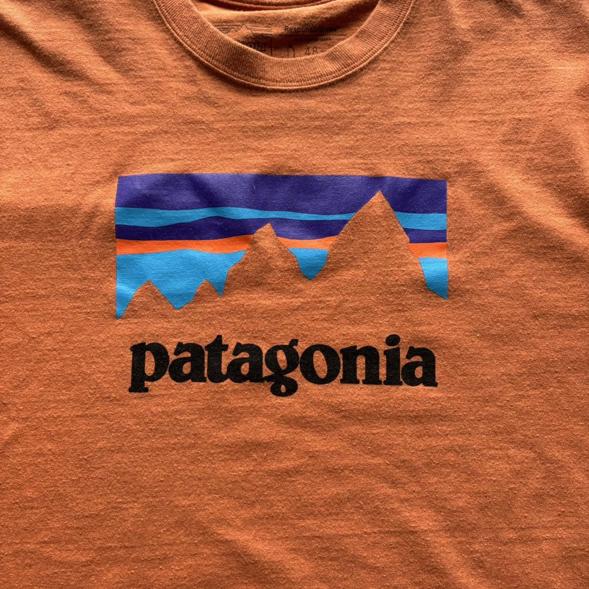 Patagonia Orange Patagonia Men's Responsibili-Tee M Orange Logo TShirt Size US M / EU 48-50 / 2 - 2 Thumbnail