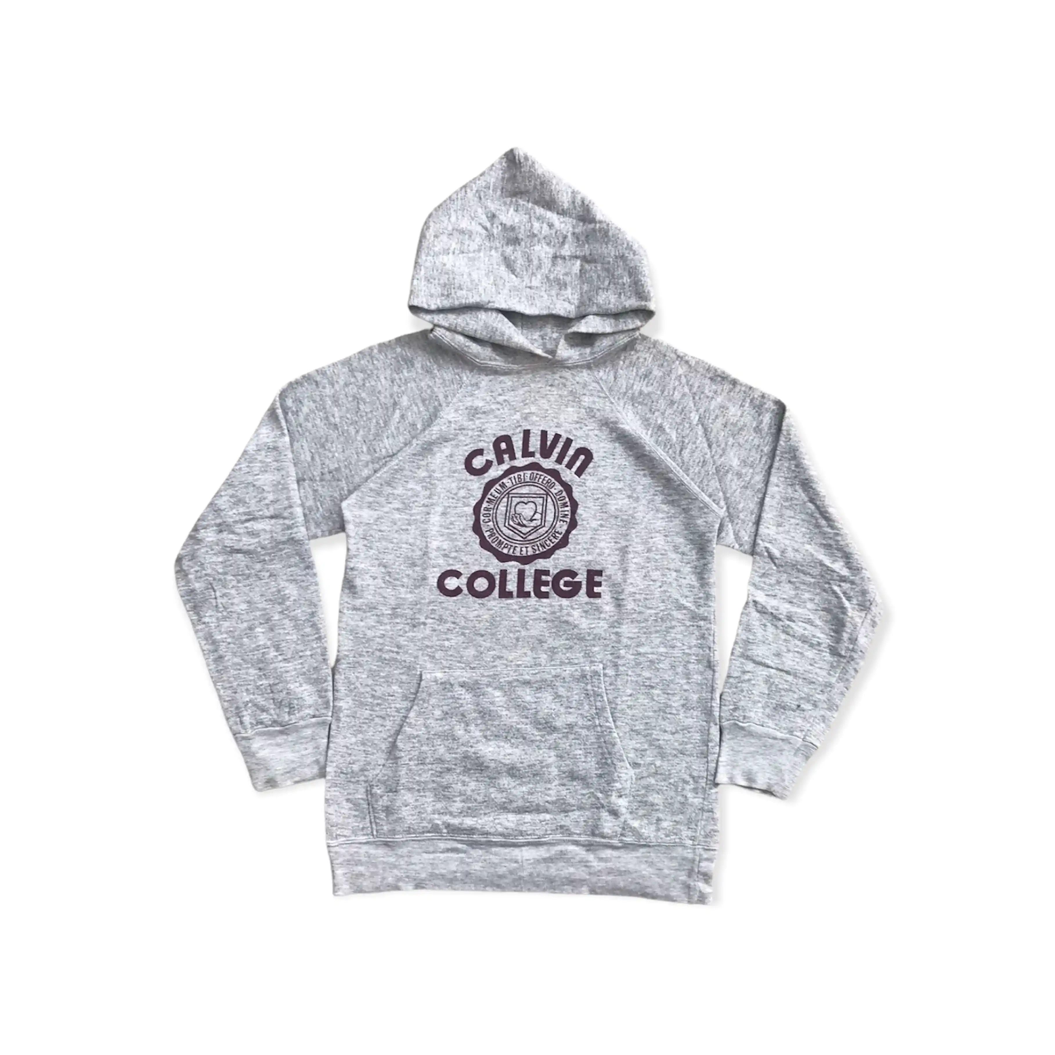 image of American College x Champion Vintage 80's Champion Calvin College Hoodie in Grey, Men's (Size Small)