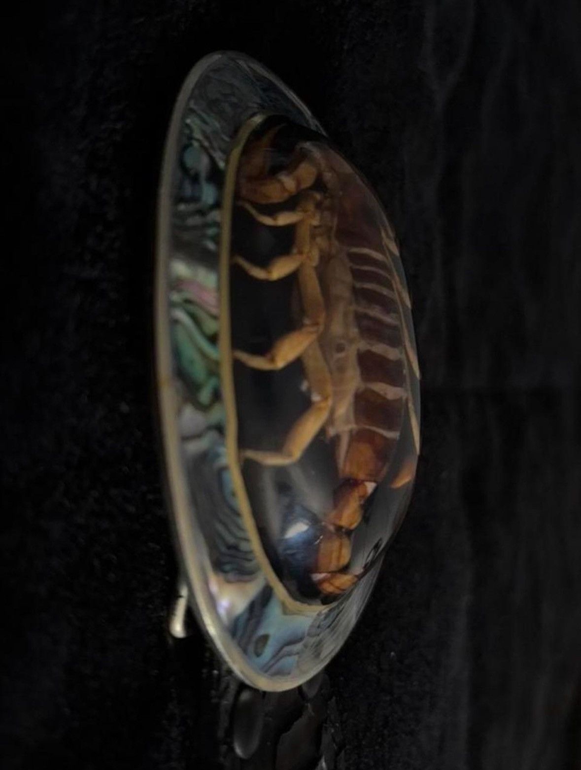 scorpion belt buckle lgb Ifsixwasnine