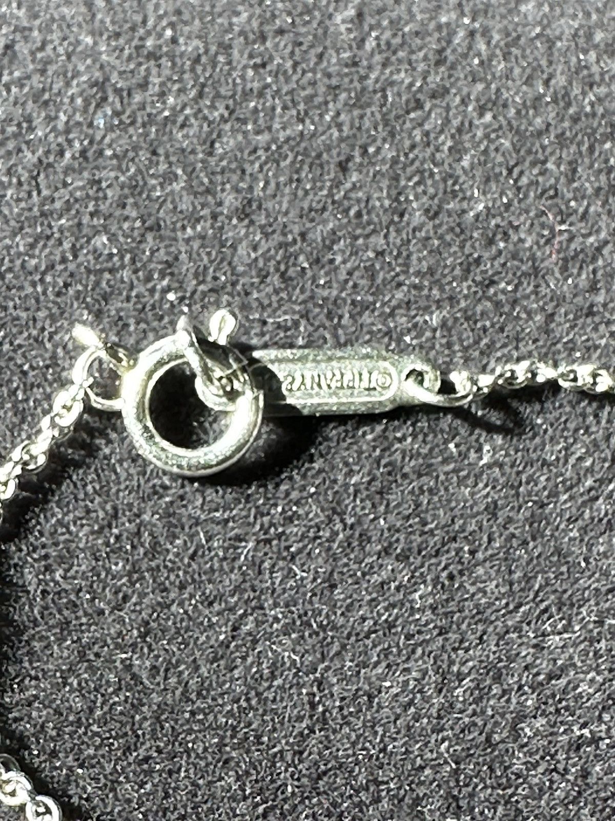 Tiffany & Co. Platinum Victoria Vine Key Pendant w 24in chain and Mini Key Size ONE SIZE - 13 Thumbnail