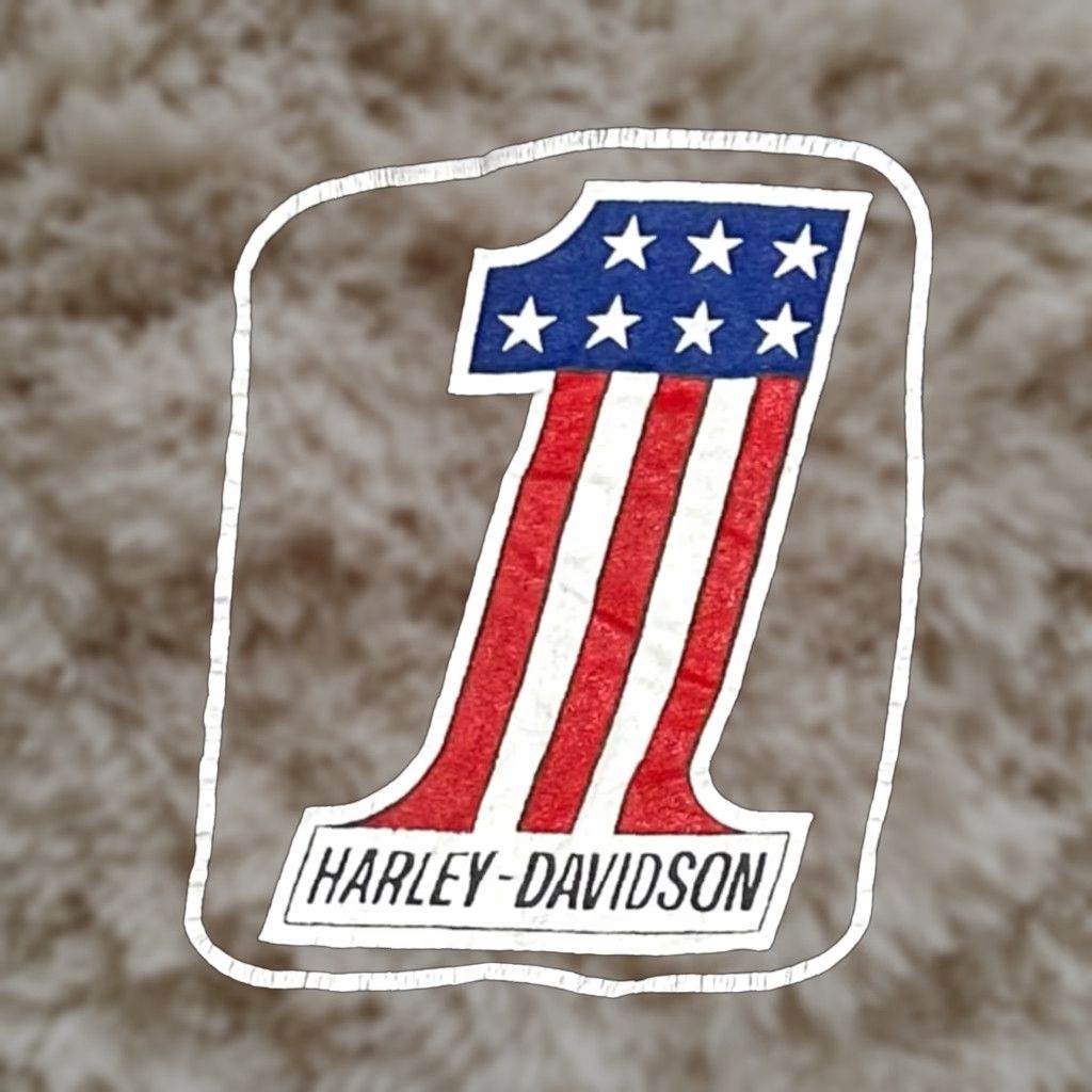 VINTAGE Champion Harley-Davidson T-Shirt Mens XL Black 90s Motorcycle Biker Graphic Print All Seasons