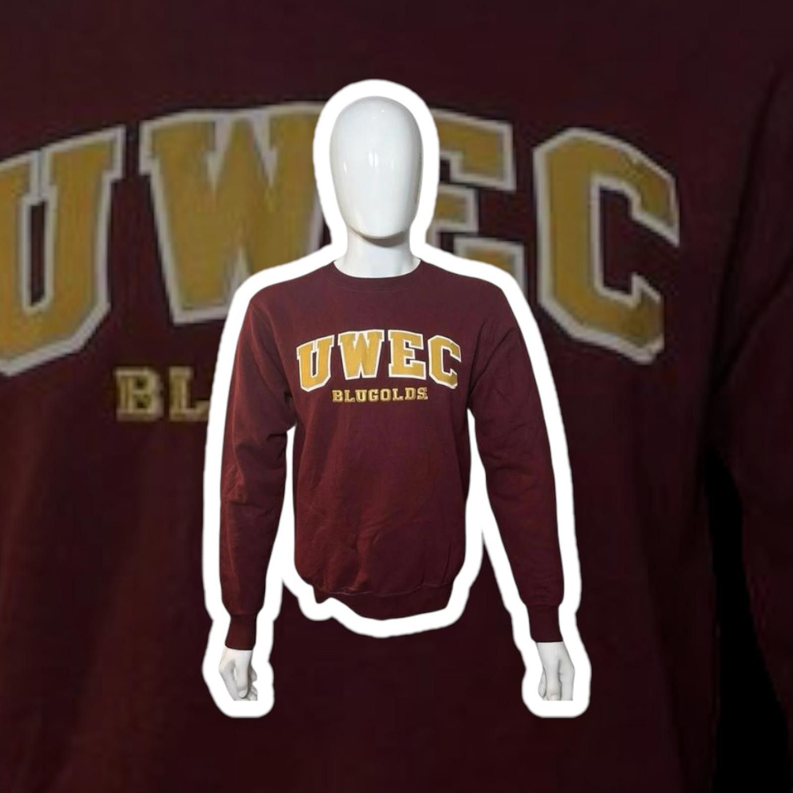 Champion Champion UWEC Blugolds Crewneck Sweatshirt Size US S / EU 44-46 / 1 - 1 Thumbnail