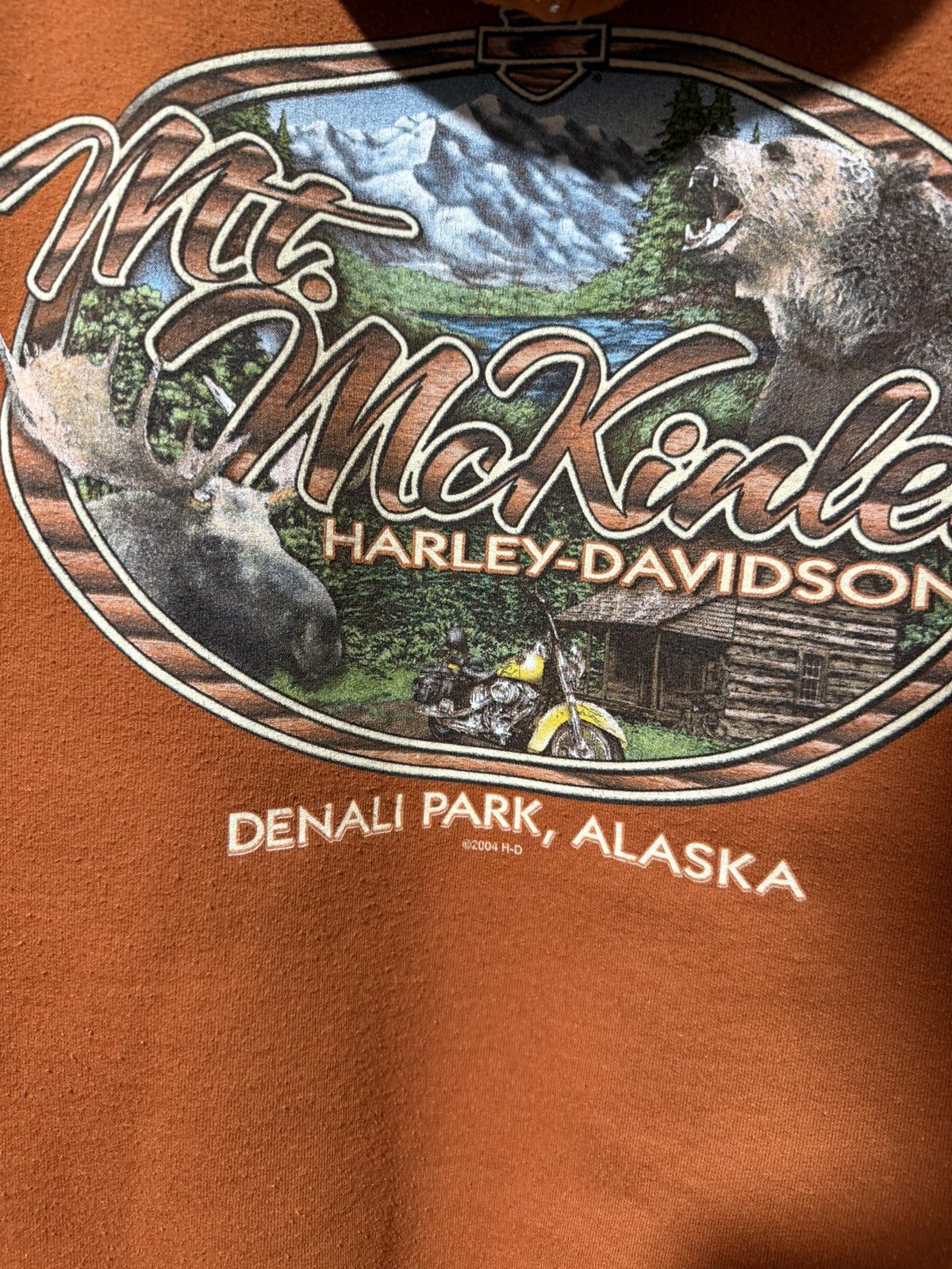 Harley Davidson Vintage 2015 Harley Davidson Alaska Denali Park Hoodie Y2K Size US M / EU 48-50 / 2 - 9 Thumbnail