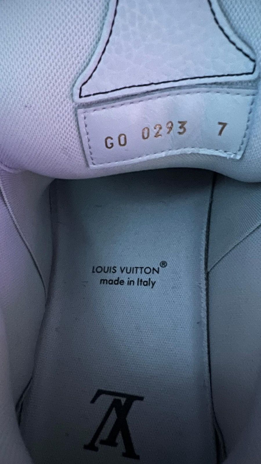 Louis Vuitton Louis Vuitton Skate Sneaker Size US 8.5 / EU 41-42 - 5 Thumbnail