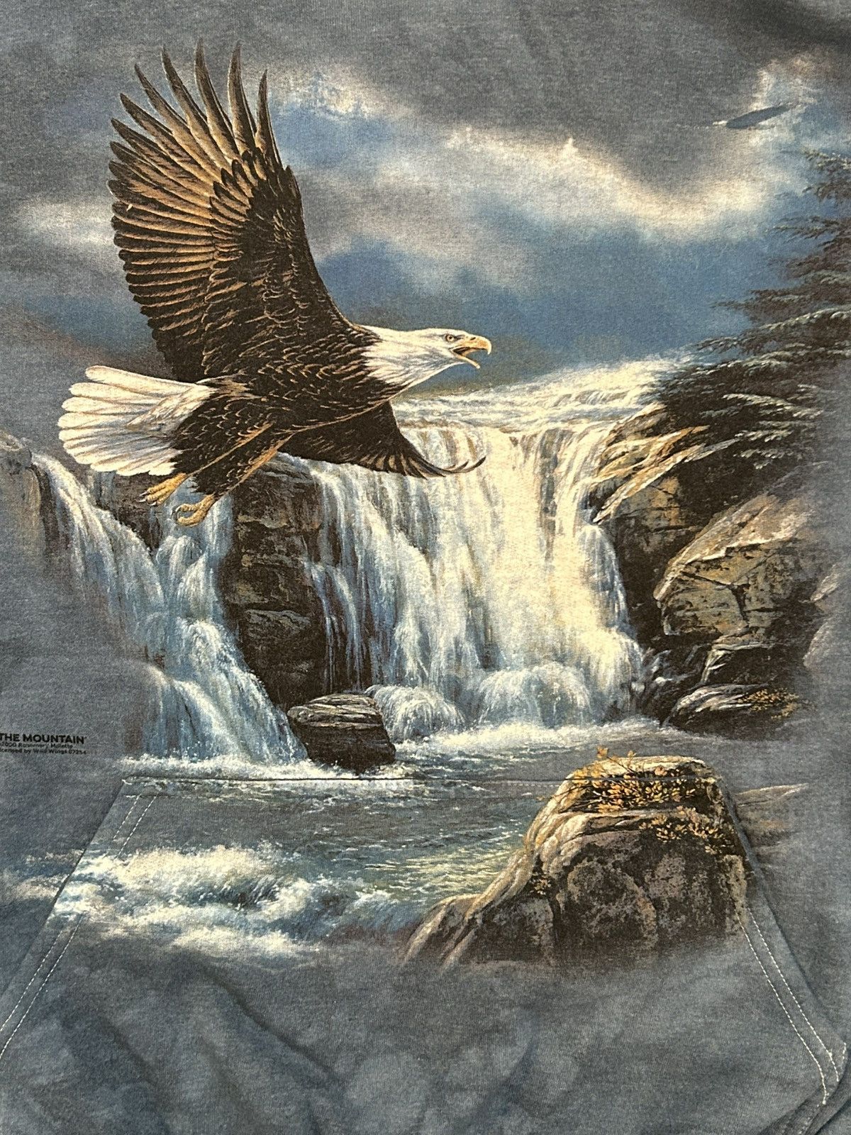 Gildan Vintage 2000 The Mountain Bald Eagle Hoodie Size US XL / EU 56 / 4 - 3 Thumbnail