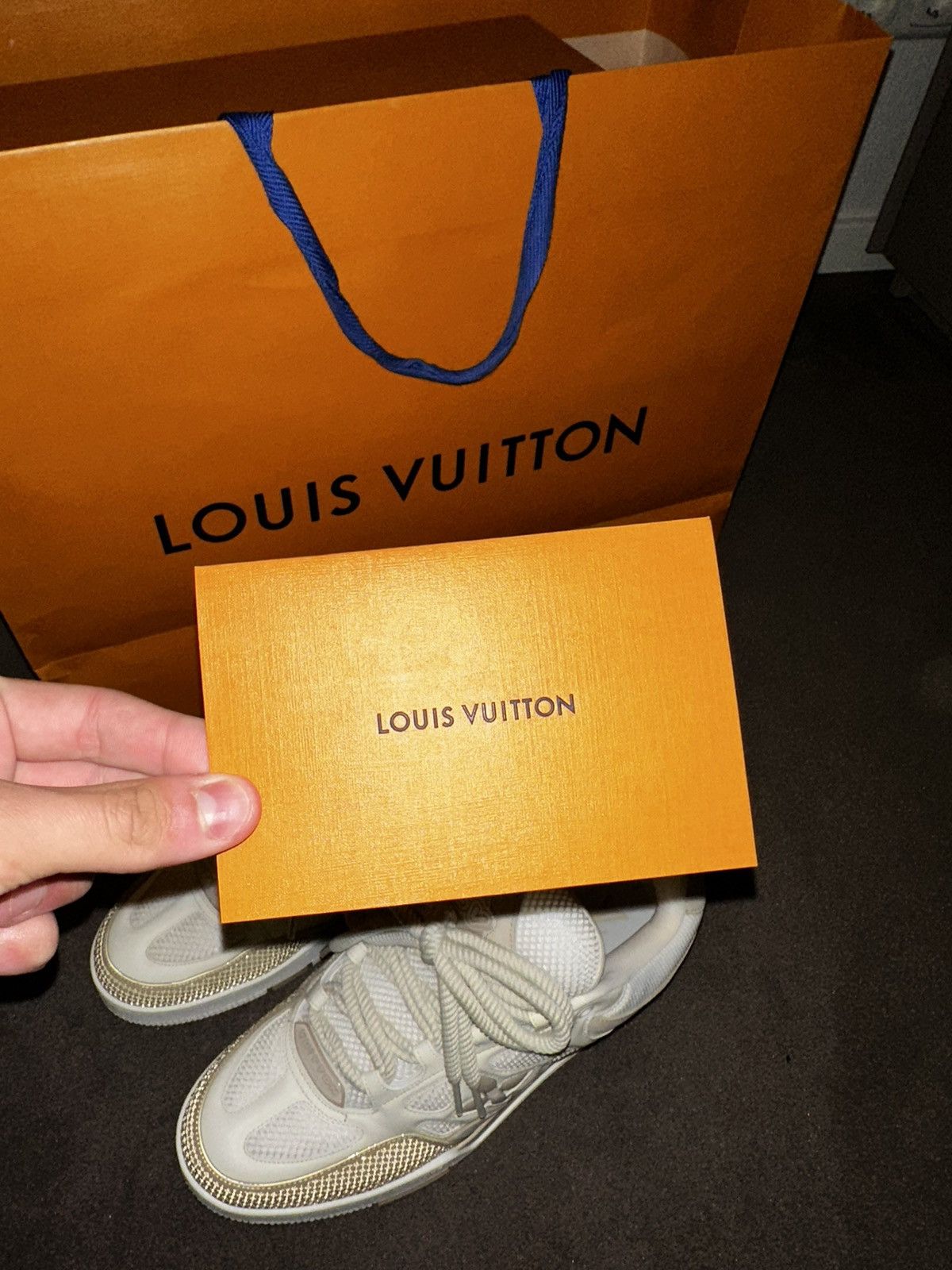 Louis Vuitton Louis Vuitton Skate Sneaker Beige Size US 10.5 / EU 43-44 - 15 Thumbnail