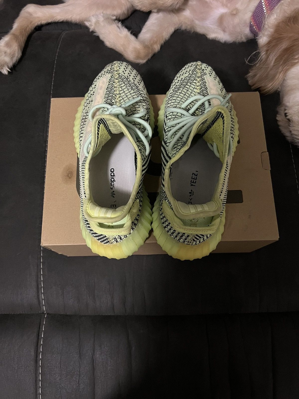 Yeezy Yeezy Boost 350 V2 Size US 9 / EU 42 - 6 Thumbnail