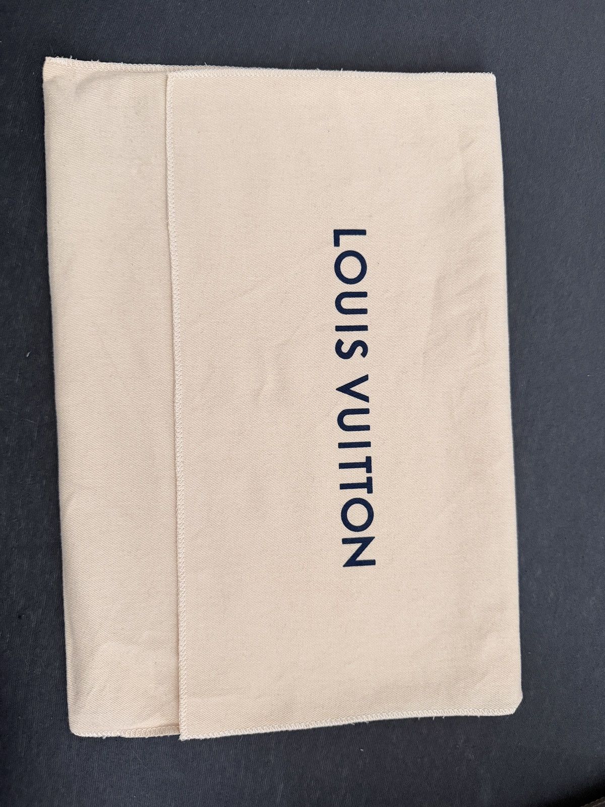 Louis Vuitton Louis Vuitton Bag Size ONE SIZE - 13 Thumbnail
