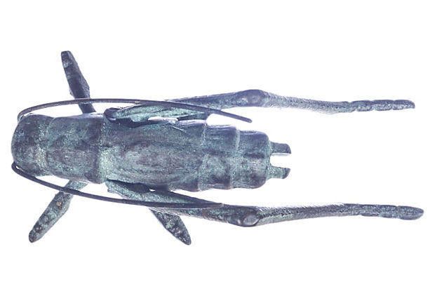 Designer Oxidized Grasshopper Paperweight Size ONE SIZE - 3 Thumbnail
