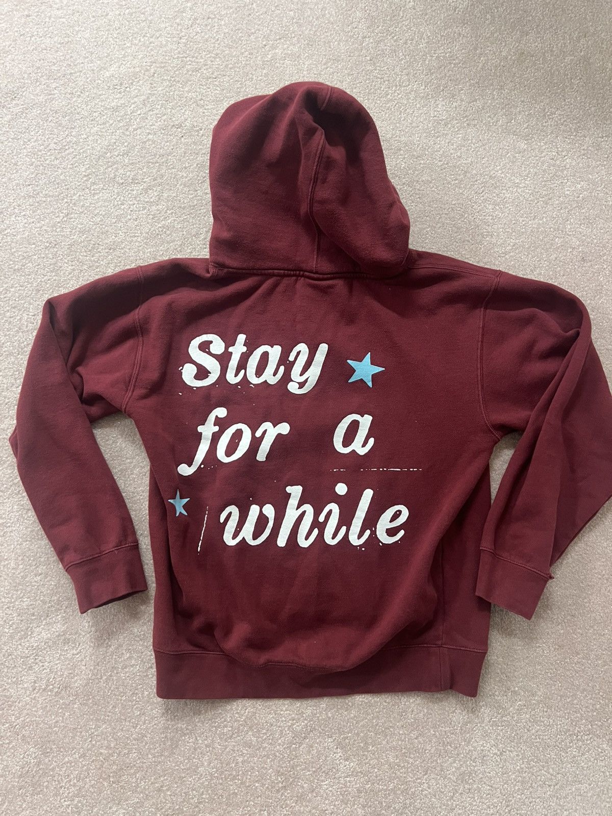 Other Industry Plant Iann Dior Maroon Red Hoodie Sweatshirt Size US S / EU 44-46 / 1 - 3 Thumbnail