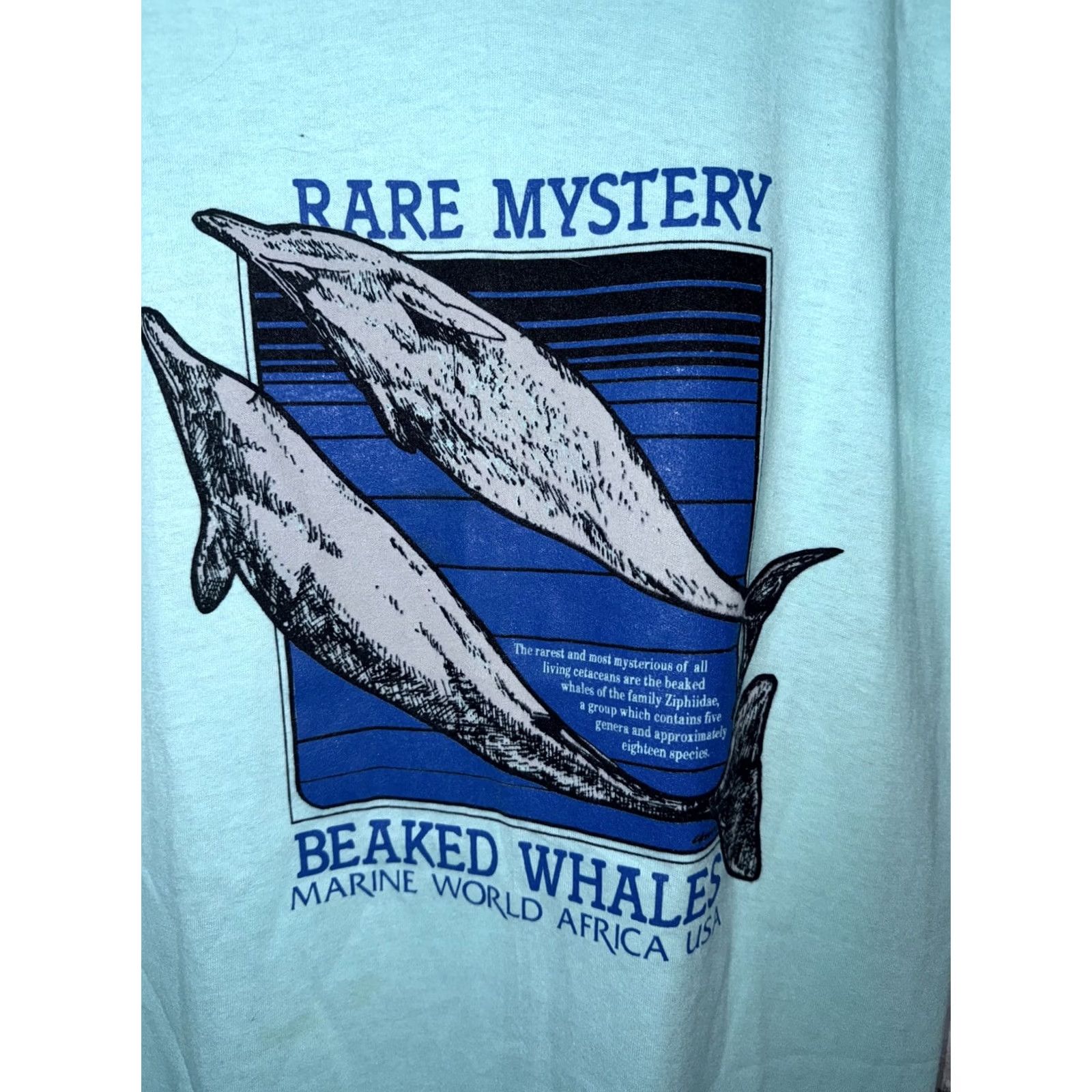 Vintage VTG Miller T-Shirt Mens L Stitch Beaked Whale Graphic USA Blue Size US L / EU 52-54 / 3 - 5 Thumbnail