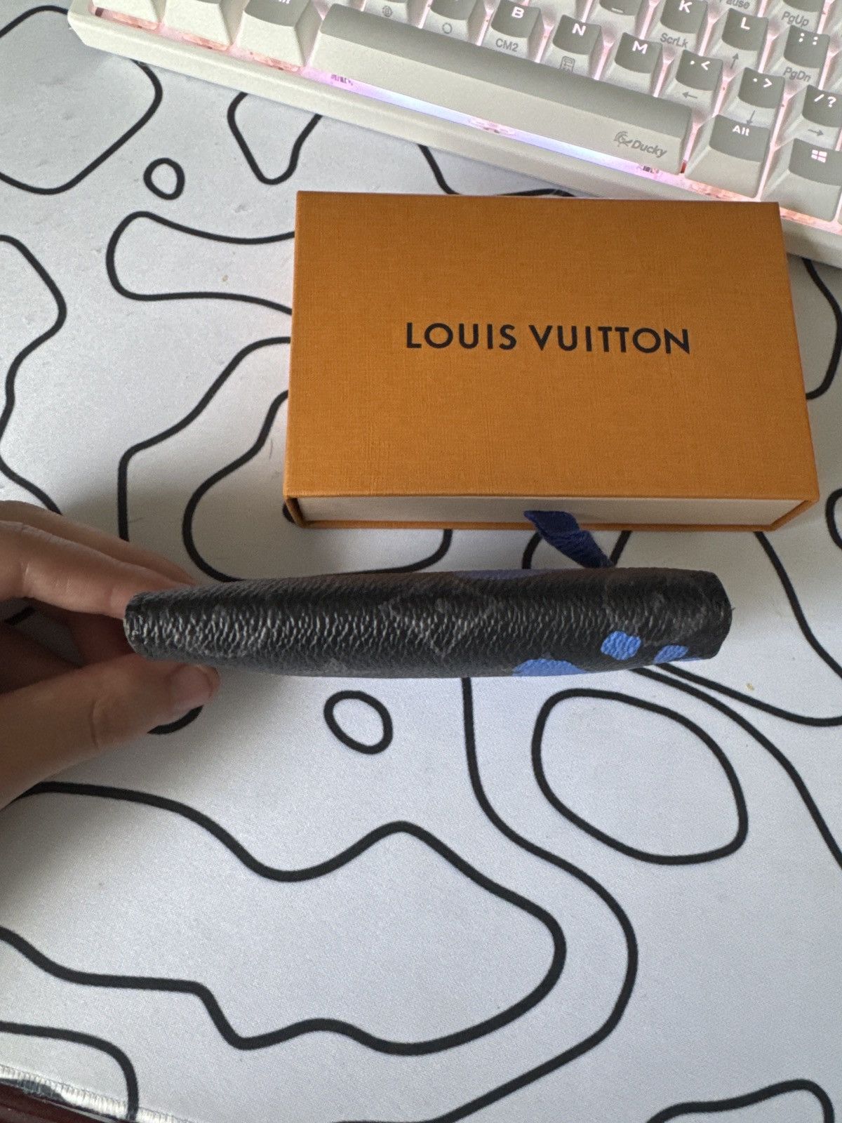 Louis Vuitton Louis Vuitton Room With A View Pocket Organizer Size ONE SIZE - 4 Thumbnail