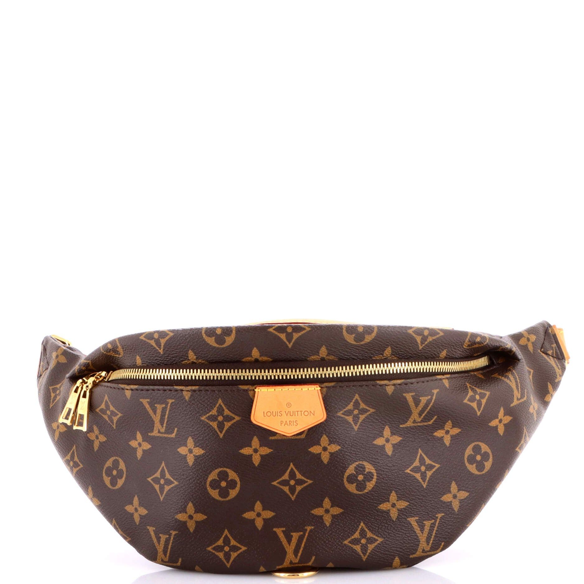 Louis Vuitton Bum Bag Size ONE SIZE - 1 Thumbnail