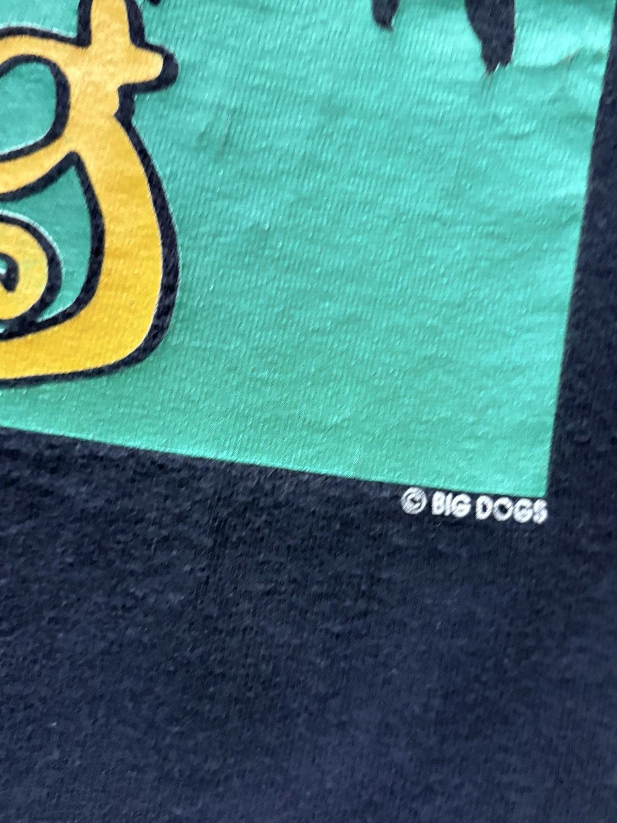 Big Dogs 90’s Big Dogs Rasta Single Stitch Vintage Tee Shirt Size US L / EU 52-54 / 3 - 11 Thumbnail