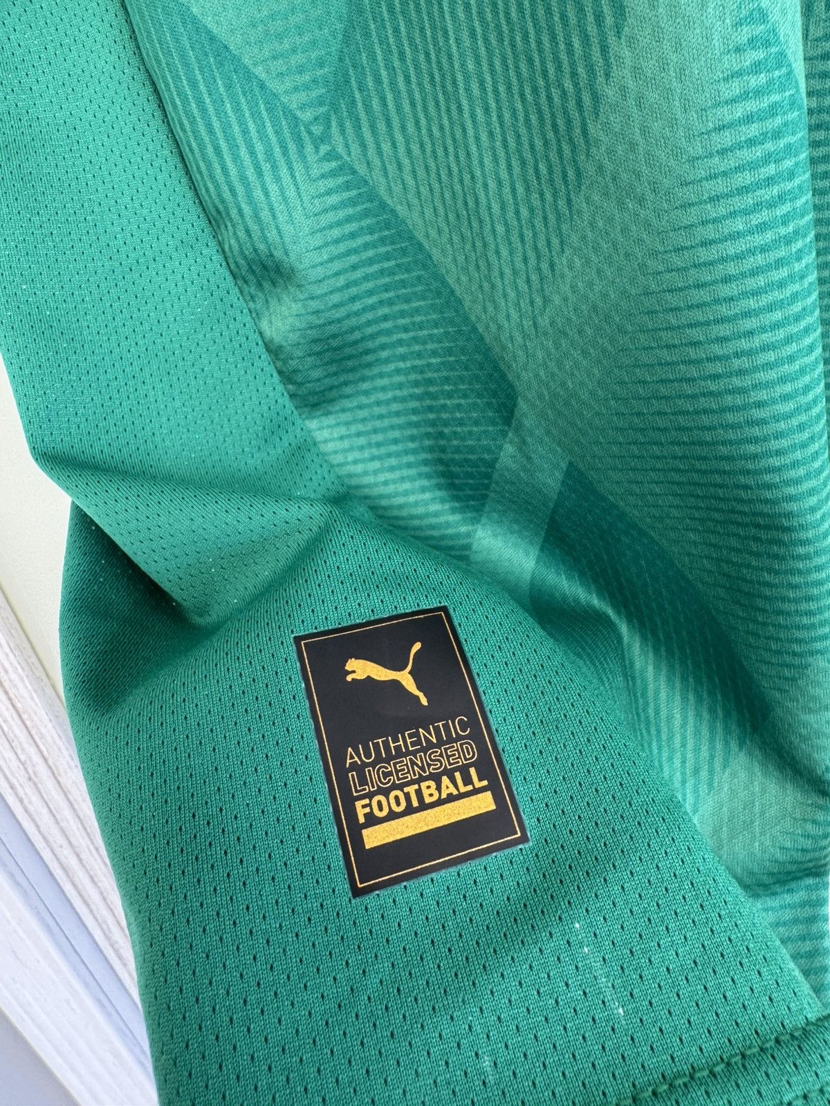 Puma Plymouth 2024-2025 Home Soccer Jersey Football Kit Shirt Size US L / EU 52-54 / 3 - 12 Thumbnail