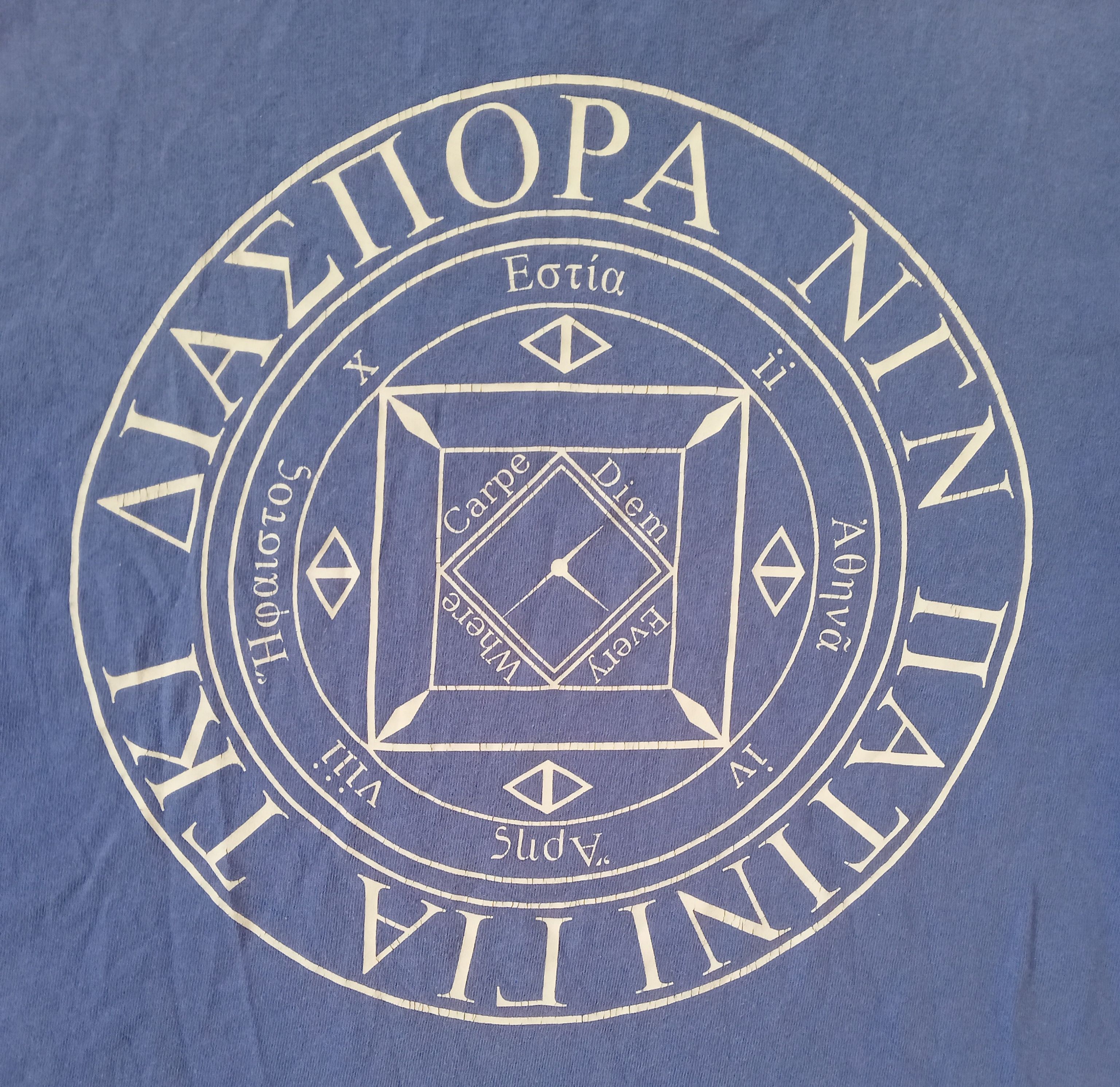 Diaspora Skateboards T Shirt