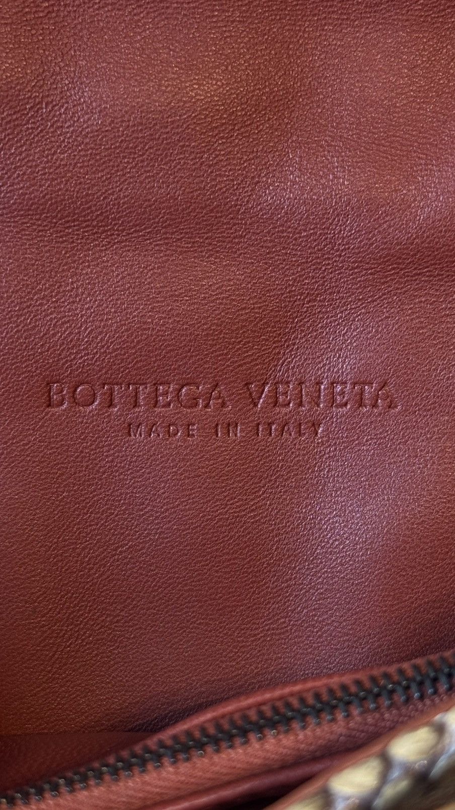 Bottega Veneta Bottega Veneta Fall 2011 Exotic Runway Handbag Size ONE SIZE - 17 Thumbnail