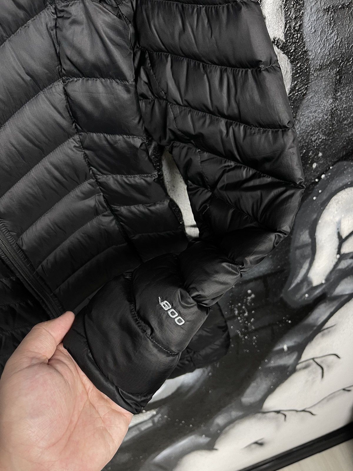 The North Face The North Face Trevail Down 800 Long Parka Size XS Size XS / US 0-2 / IT 36-38 - 8 Thumbnail