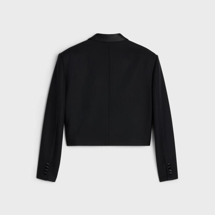 Celine o1w1db10125 2V27J029R Spencer Poudre Tux Jacket in Black Size XS / US 0-2 / IT 36-38 - 2 Thumbnail