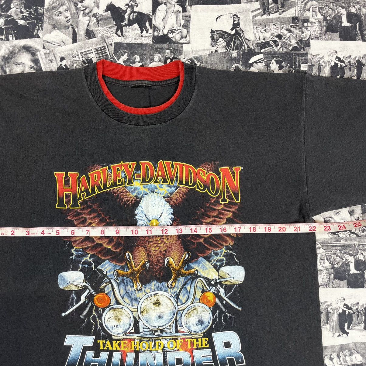 Harley Davidson 90s Harley Davison vintage t-shirt Size US L / EU 52-54 / 3 - 6 Thumbnail