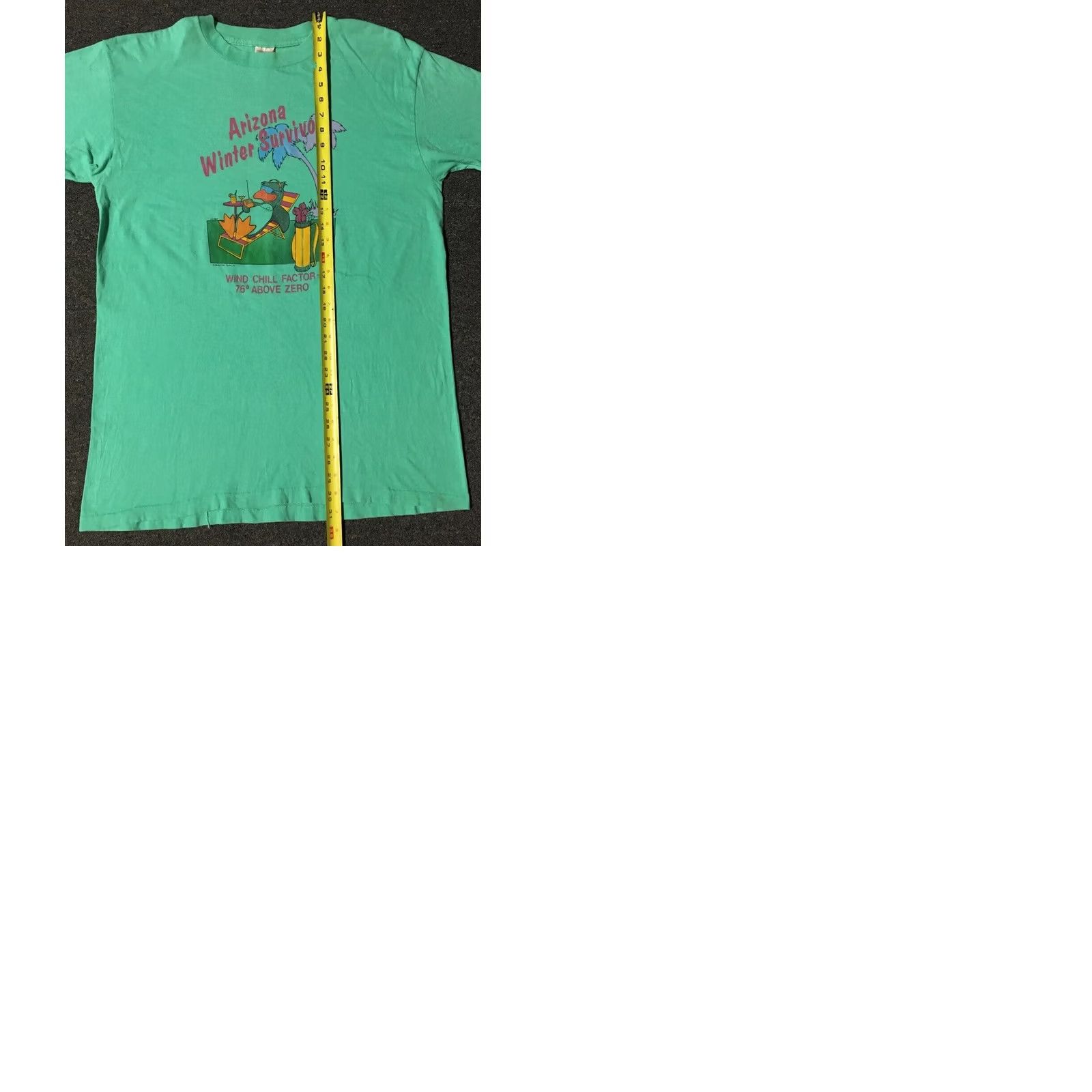 Vintage VINTAGE Arizona Winter Survivor Faded T-Shirt XL Green Funny Animal Duck Grunge Joke 80s 90s Mens XL USA United States Single Stitch Size XL Size US XL / EU 56 / 4 - 9 Thumbnail