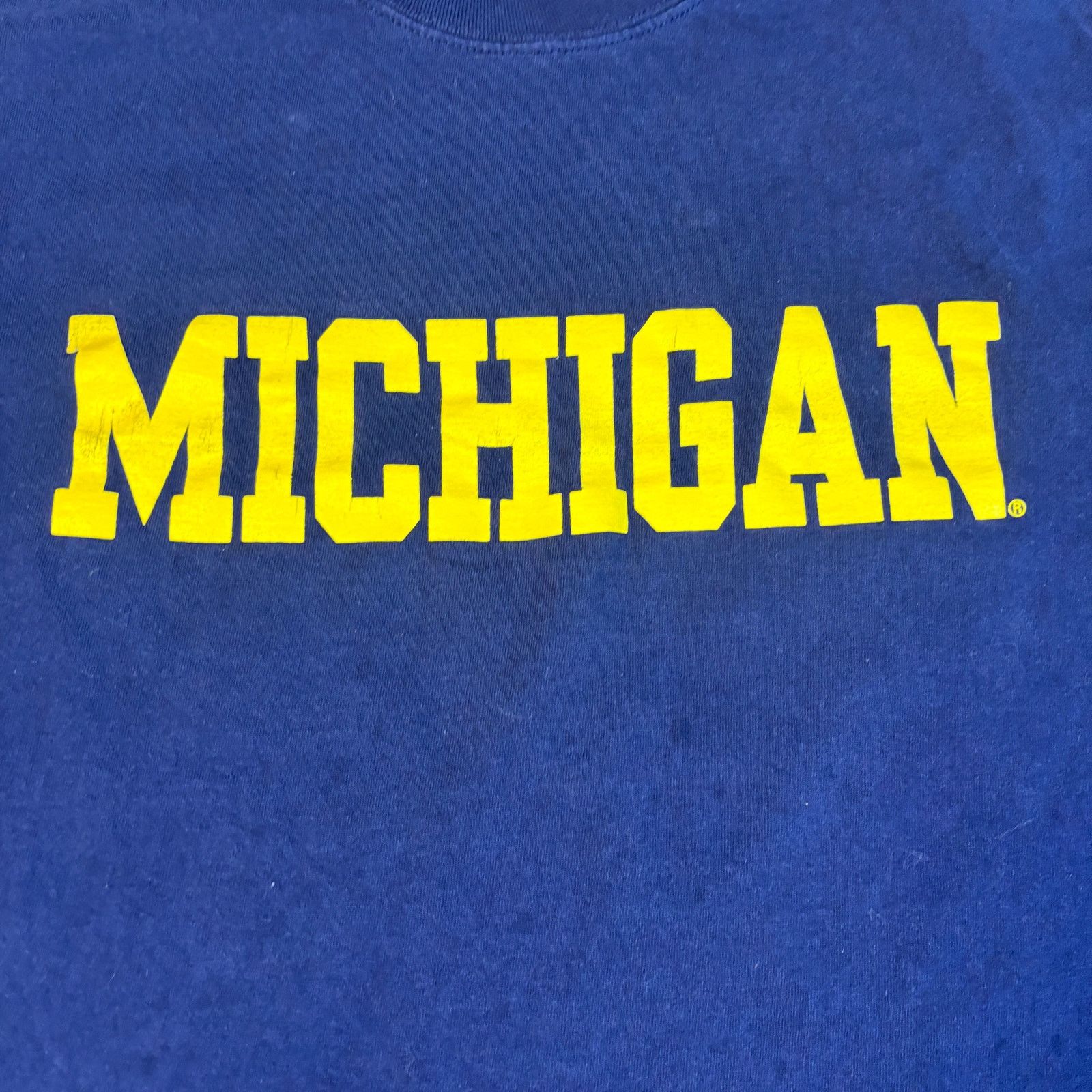 Gildan vintage y2k 2000s University of Michigan longsleeve large Size US L / EU 52-54 / 3 - 3 Thumbnail