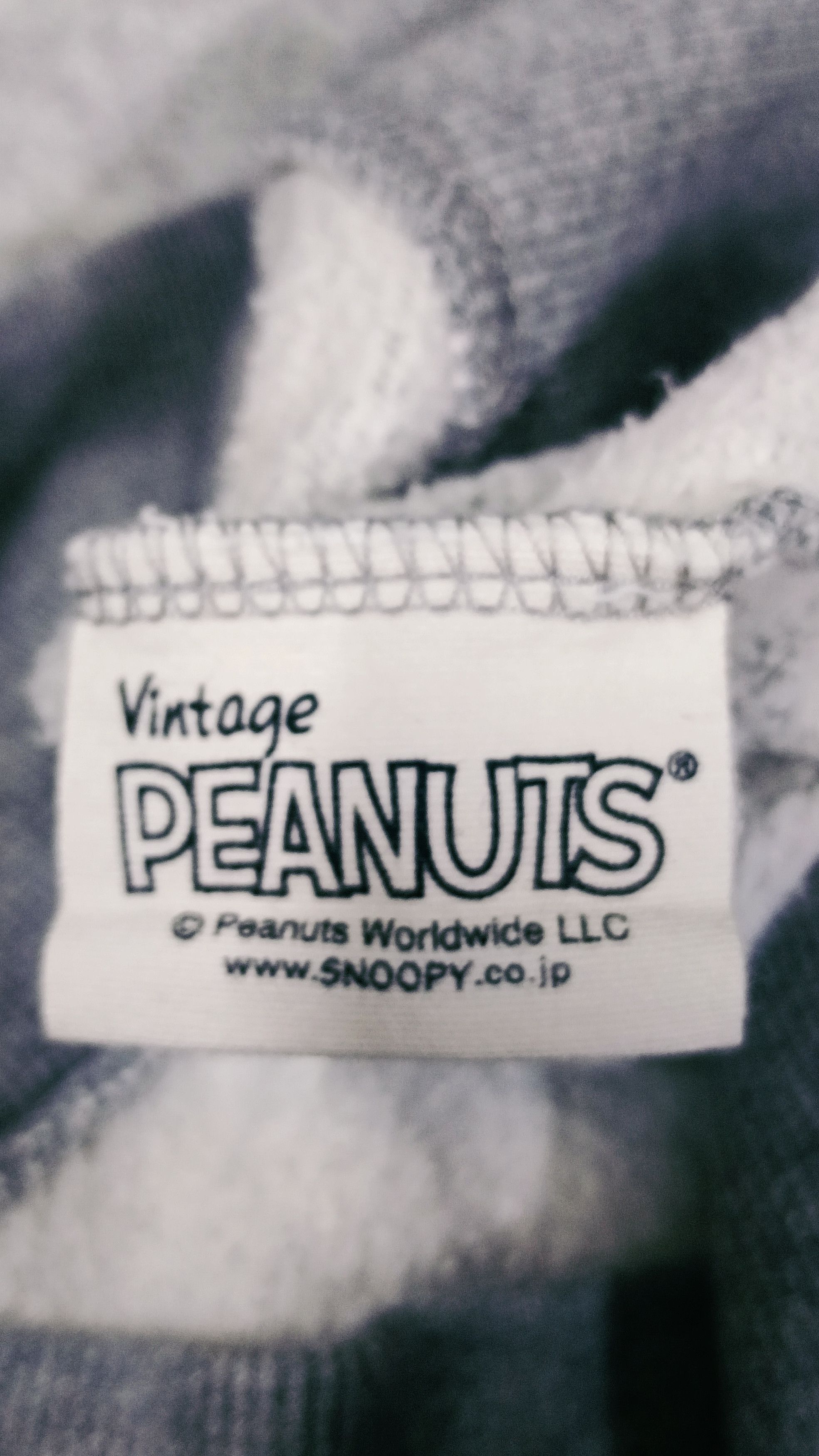 Dickies × Peanuts Vintage Peanuts x Dickies Hoodie Size US S / EU 44-46 / 1 - 7 Thumbnail