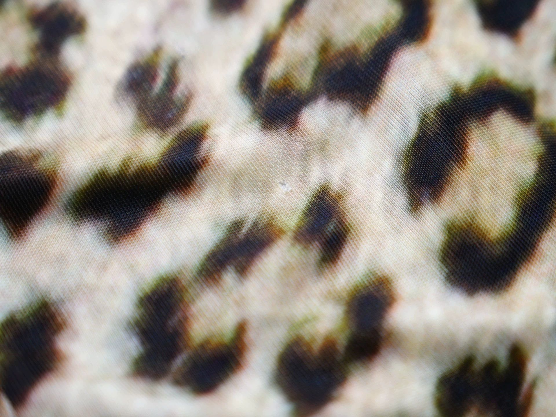 Roberto Cavalli Roberto Cavalli Leopard Snake-Buckle Slim Dress IT40 Size S / US 4 / IT 40 - 4 Thumbnail