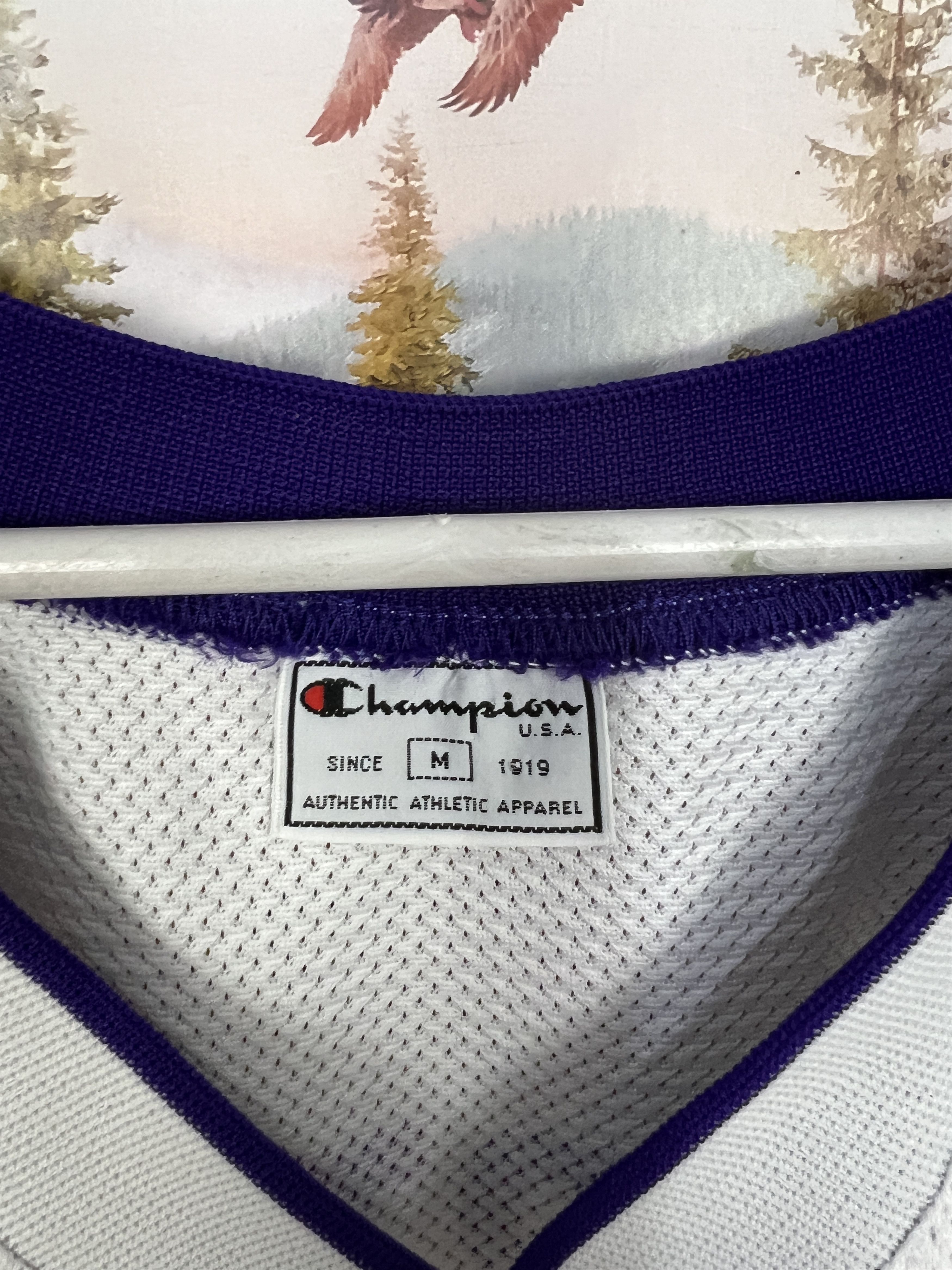Champion Vintage 90's Champion Toronto Raptors Carter NBA Jersey Size US M / EU 48-50 / 2 - 8 Thumbnail