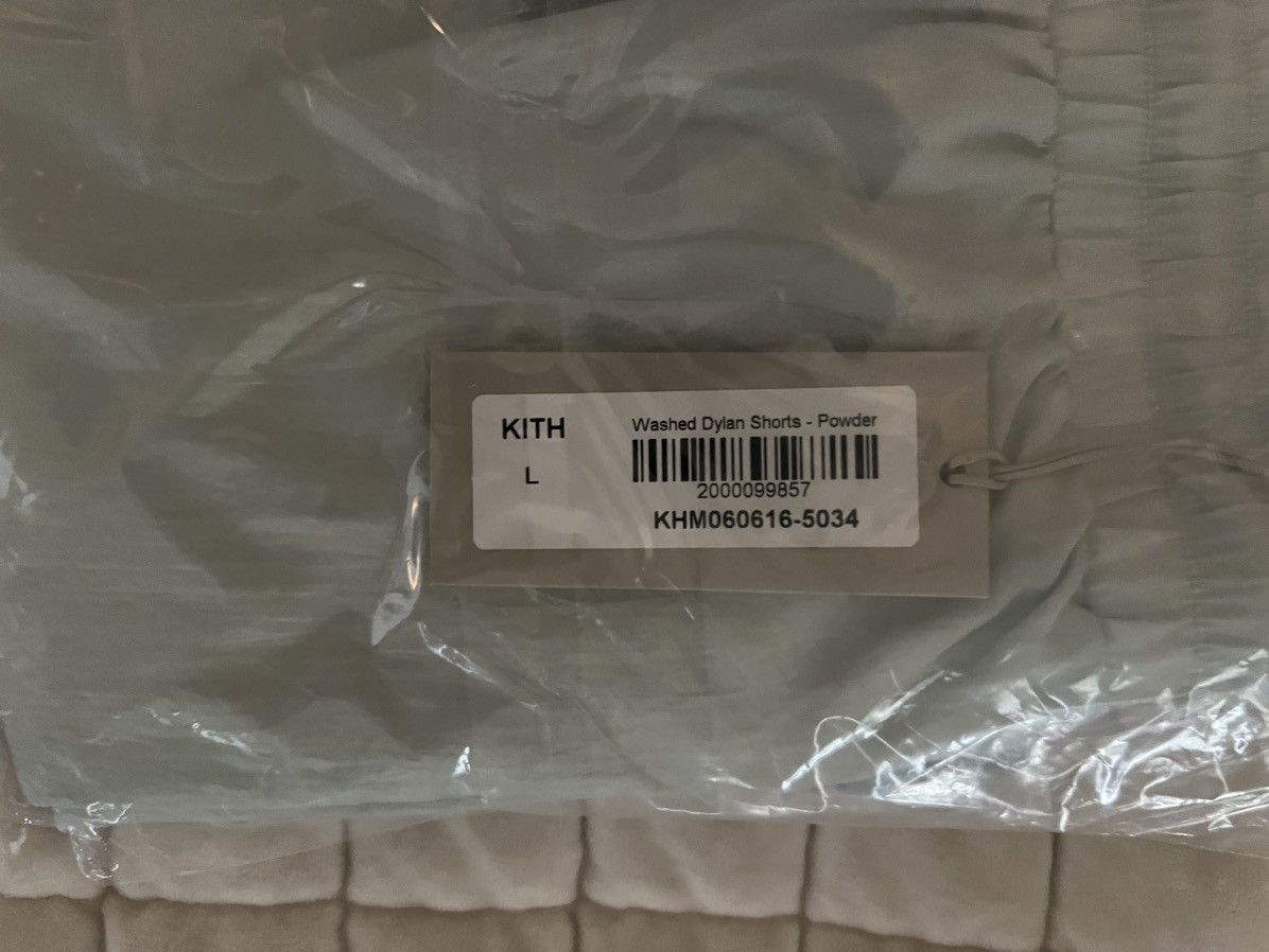 Kith Kith Washed Dylan Shorts in Powder Nylon Shorts Size Large Size US 34 / EU 50 - 7 Thumbnail