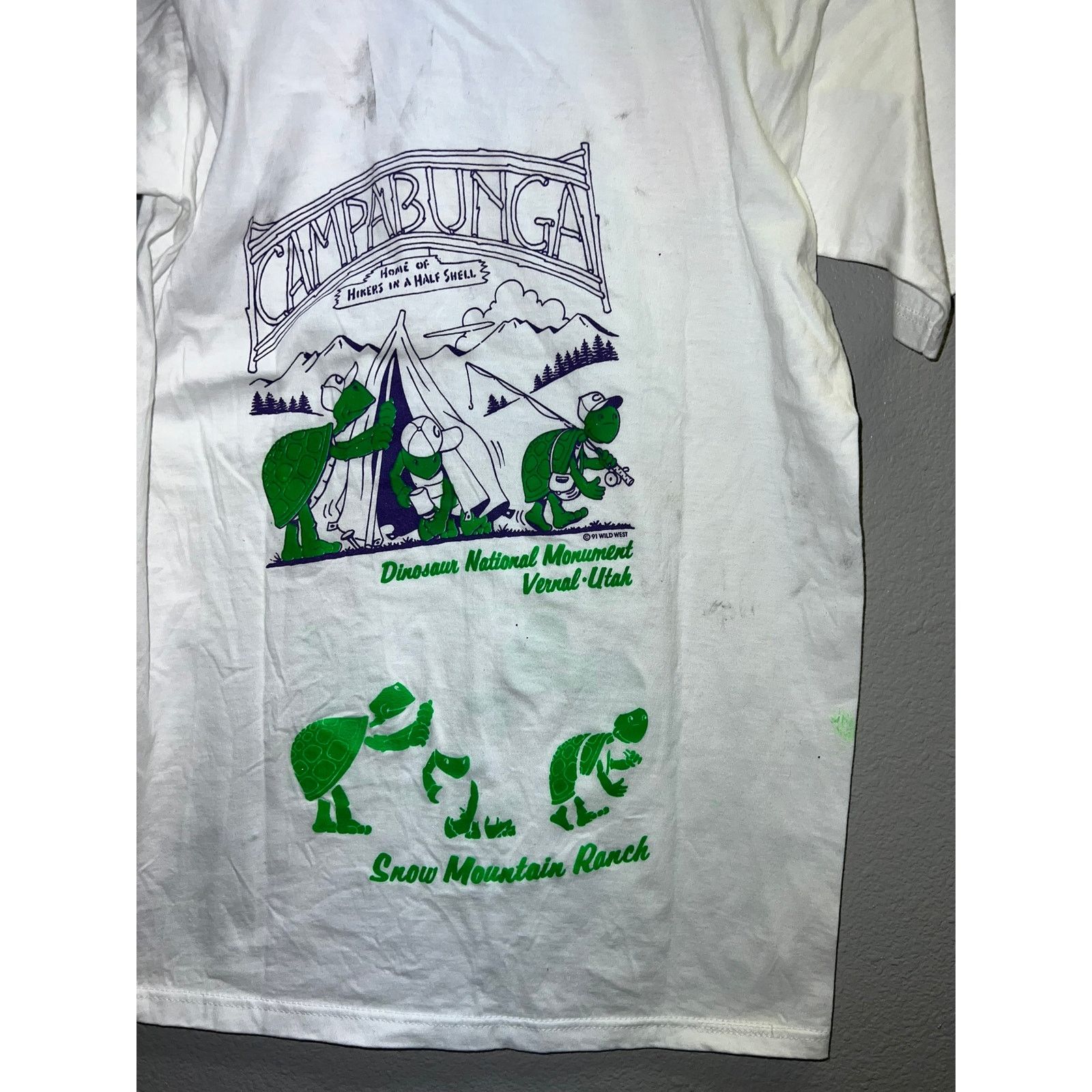 Jerzees Vintage Test Print Shirt Reno Campabunga Turtle Utah Tee 90s Size US M / EU 48-50 / 2 - 7 Thumbnail