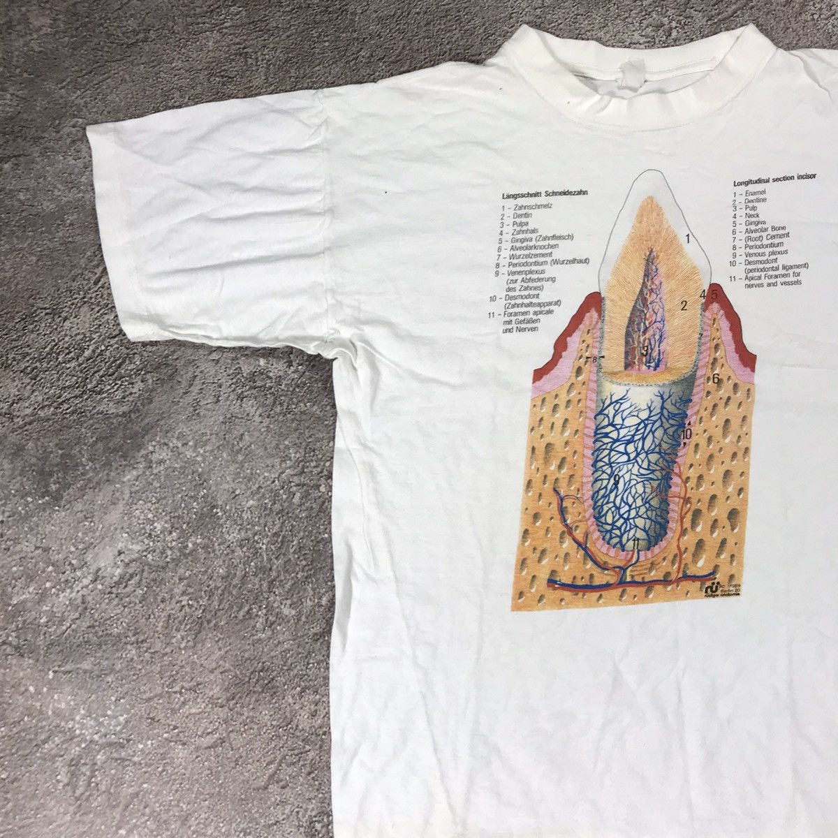 Vintage Vintage 90s Anatomy Graphic Tee Streetwear Art Y2K Cropped M Size US M / EU 48-50 / 2 - 3 Thumbnail
