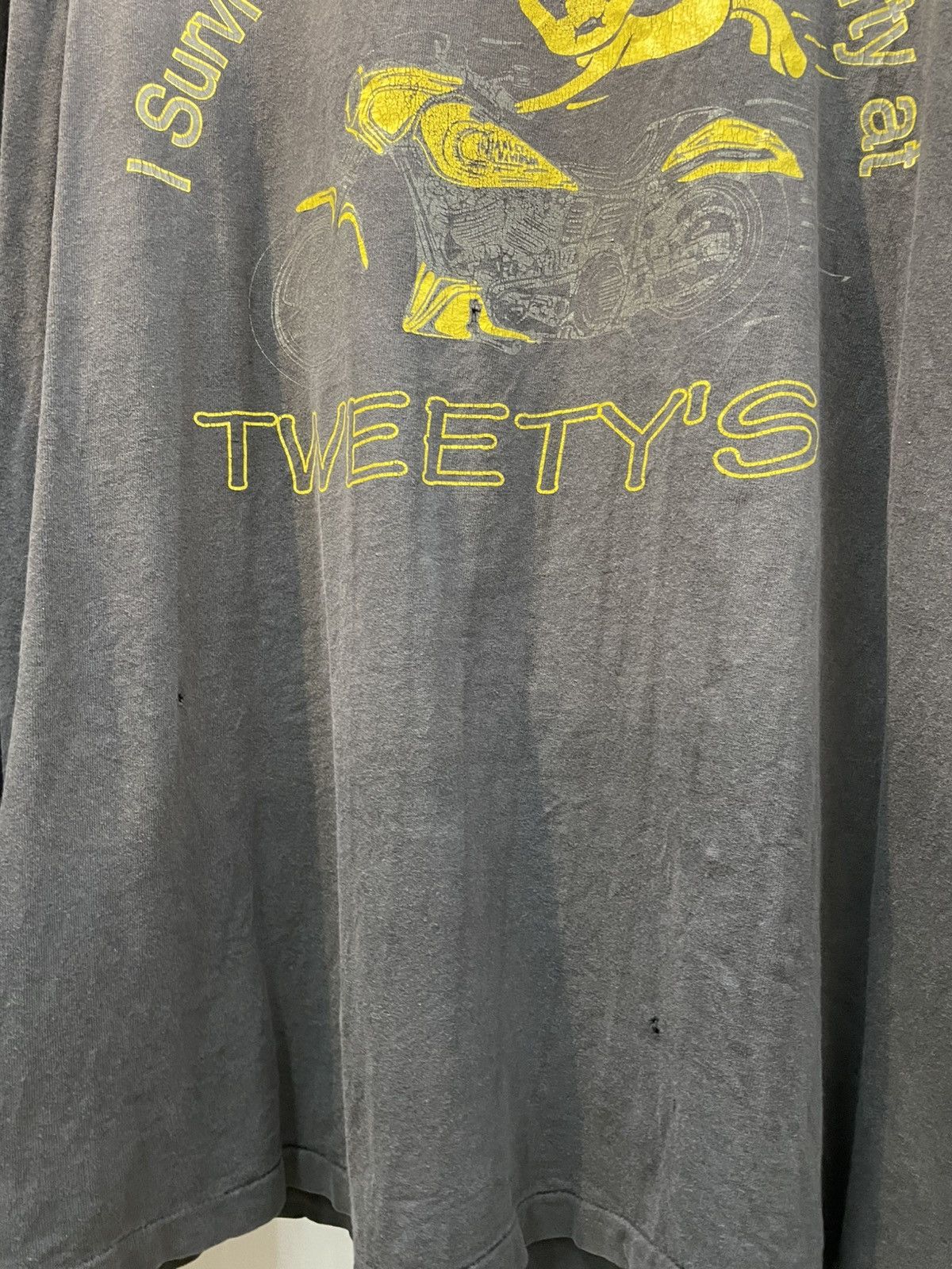 Tweety's Harley Davidson 90's