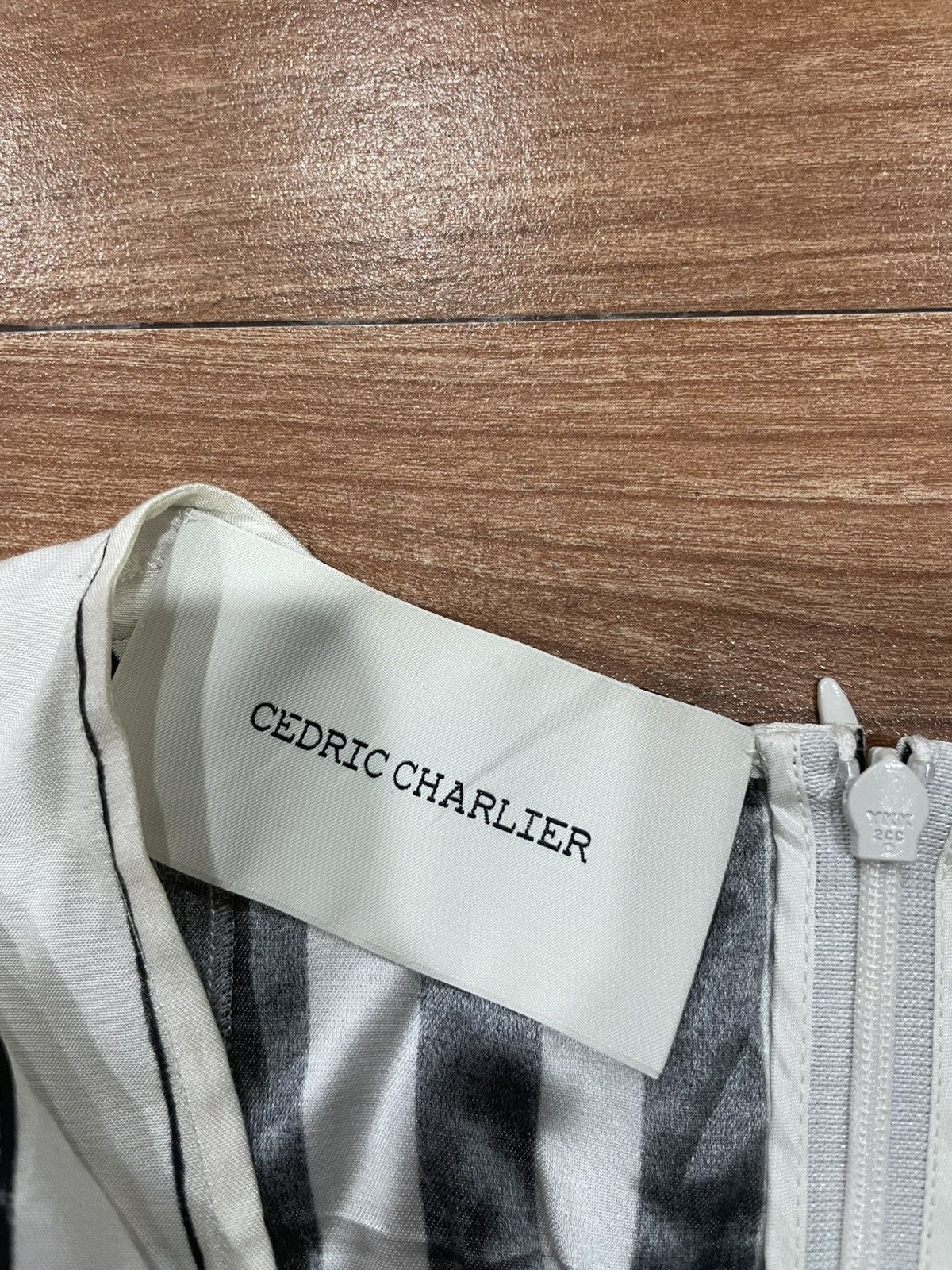 Cedric Charlier Cedric Charlier Dress Size XS / US 0-2 / IT 36-38 - 7 Thumbnail
