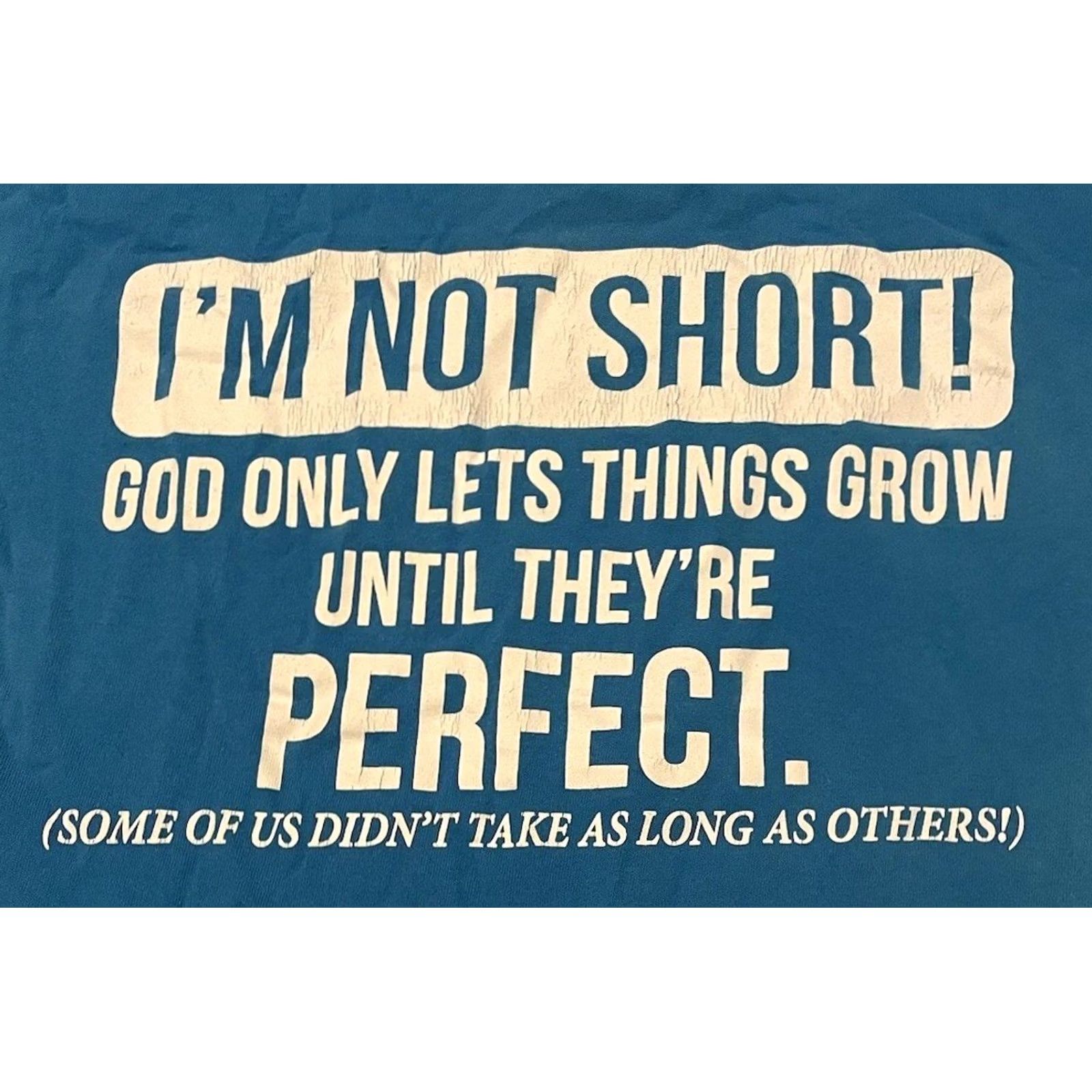 Vintage VINTAGE I’m Not Short Im Perfect Faded Shirt S Funny Saying Joke Humor Grunge Y2K 90s Shirt Mens Small Blue Sarcasm Size US S / EU 44-46 / 1 - 3 Thumbnail