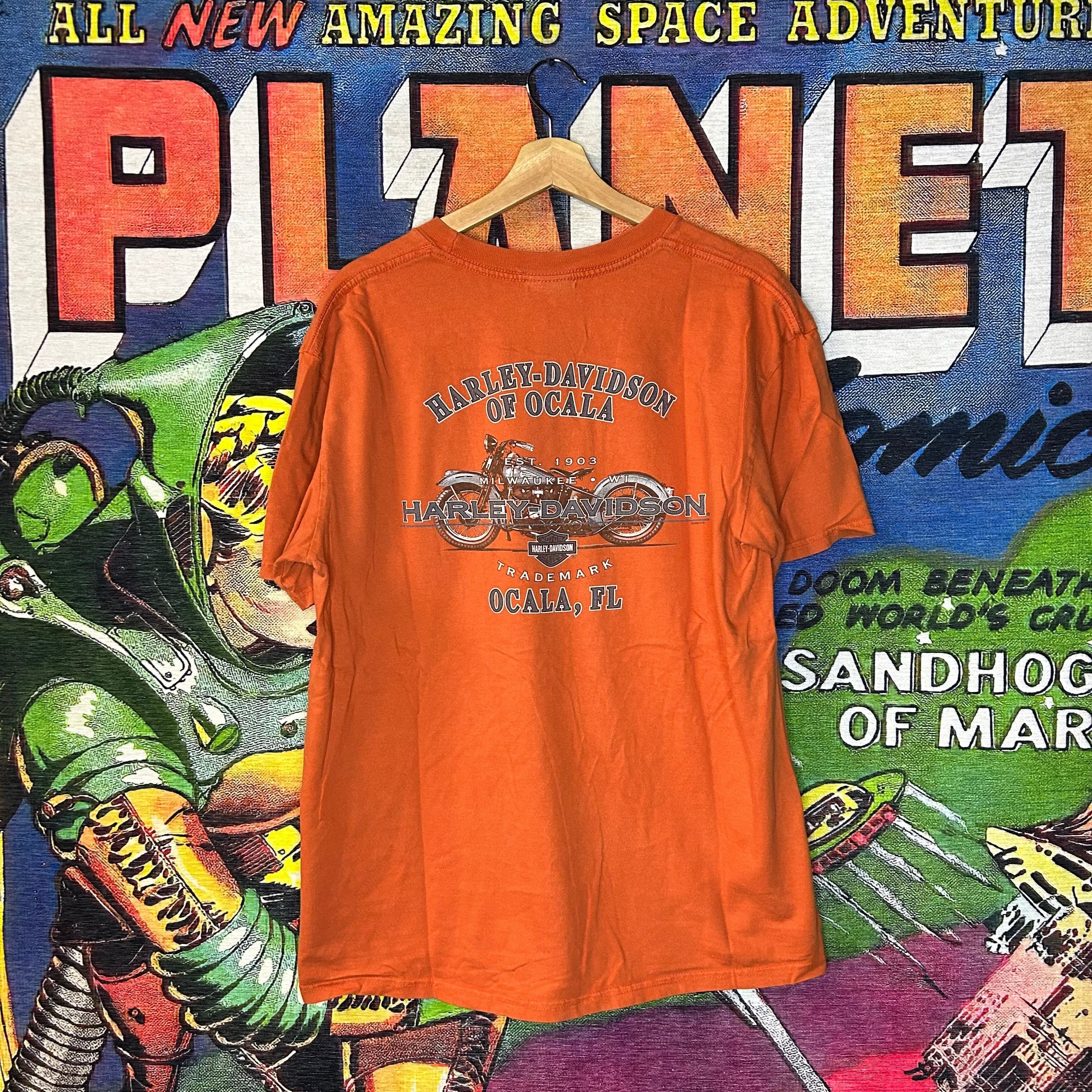 Harley Davidson × Vintage Y2K Harley Davidson Motorcycles Tee Size Large Size US L / EU 52-54 / 3 - 2 Thumbnail