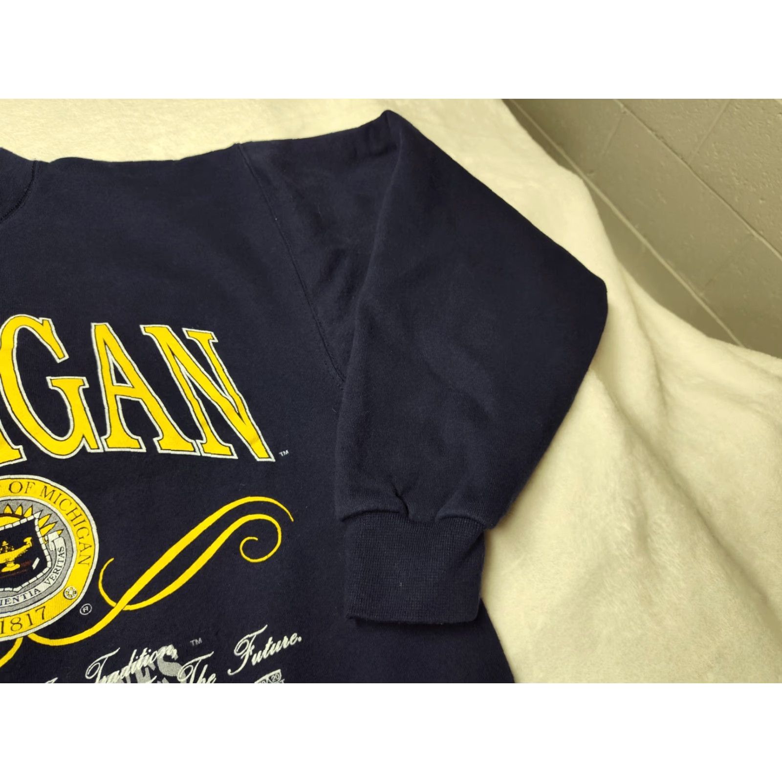 Vintage VINTAGE HVYWT 2020 Sweatshirt Minnesota Wolverines Seal Men M Blue Crew Neck Pullover 90s University College USA Mens Size US M / EU 48-50 / 2 - 4 Thumbnail