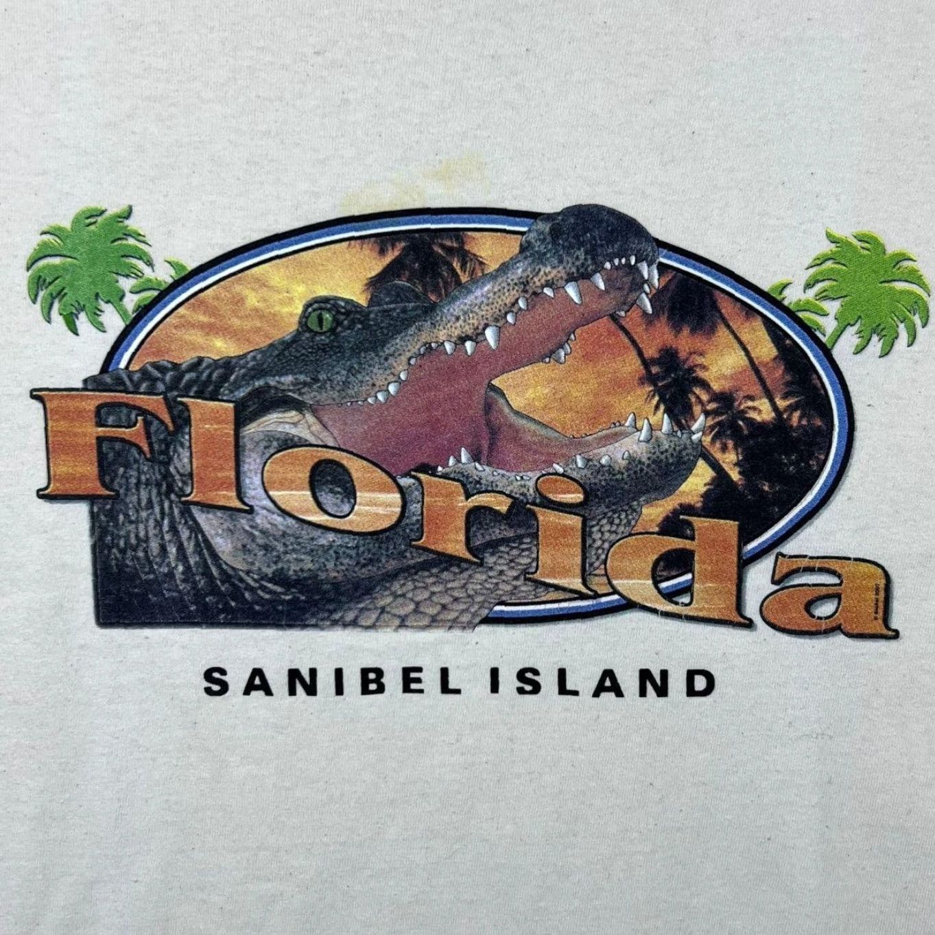 Gildan Florida Sanibel Island Crocodile Souvenir Graphic Cream T-Shirt Medium Mens Shirt Graphic Print 90s? Size US M / EU 48-50 / 2 - 3 Thumbnail