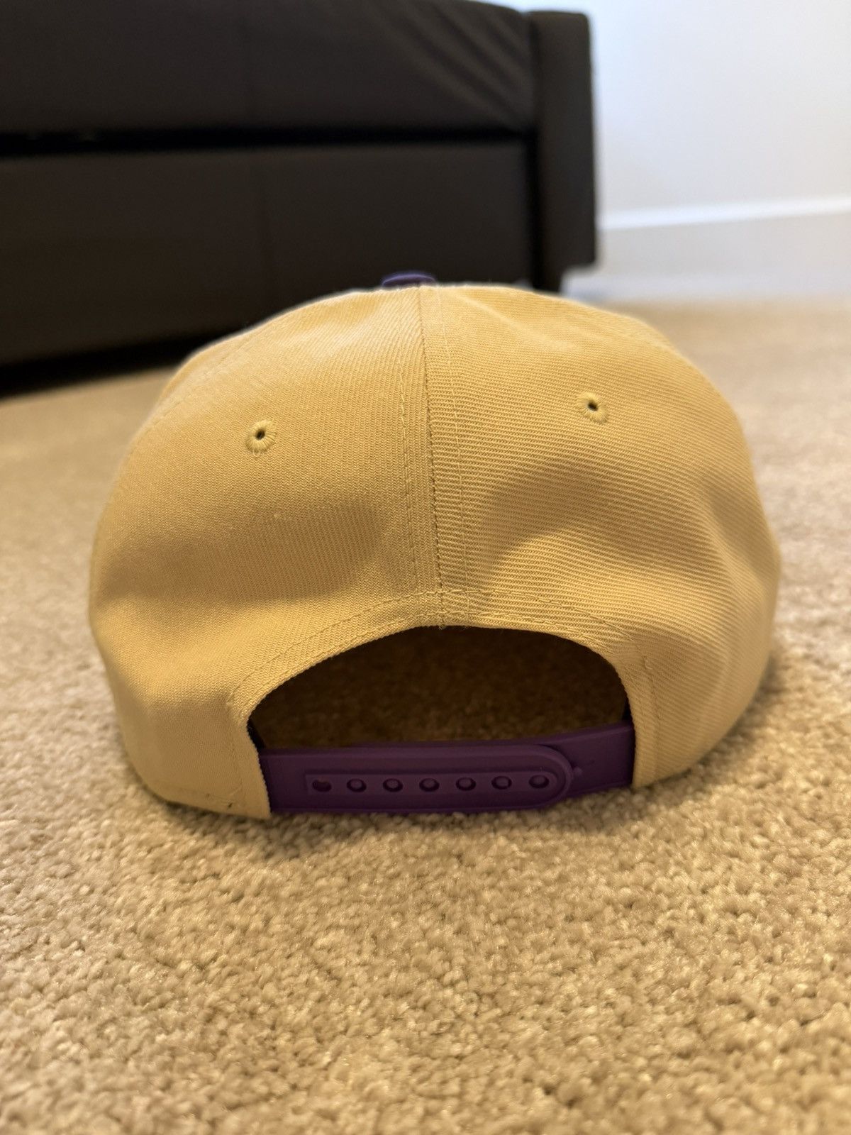 Nike Washington Huskies Nike True Dri-Fit SnapBack Hat Size ONE SIZE - 4 Thumbnail