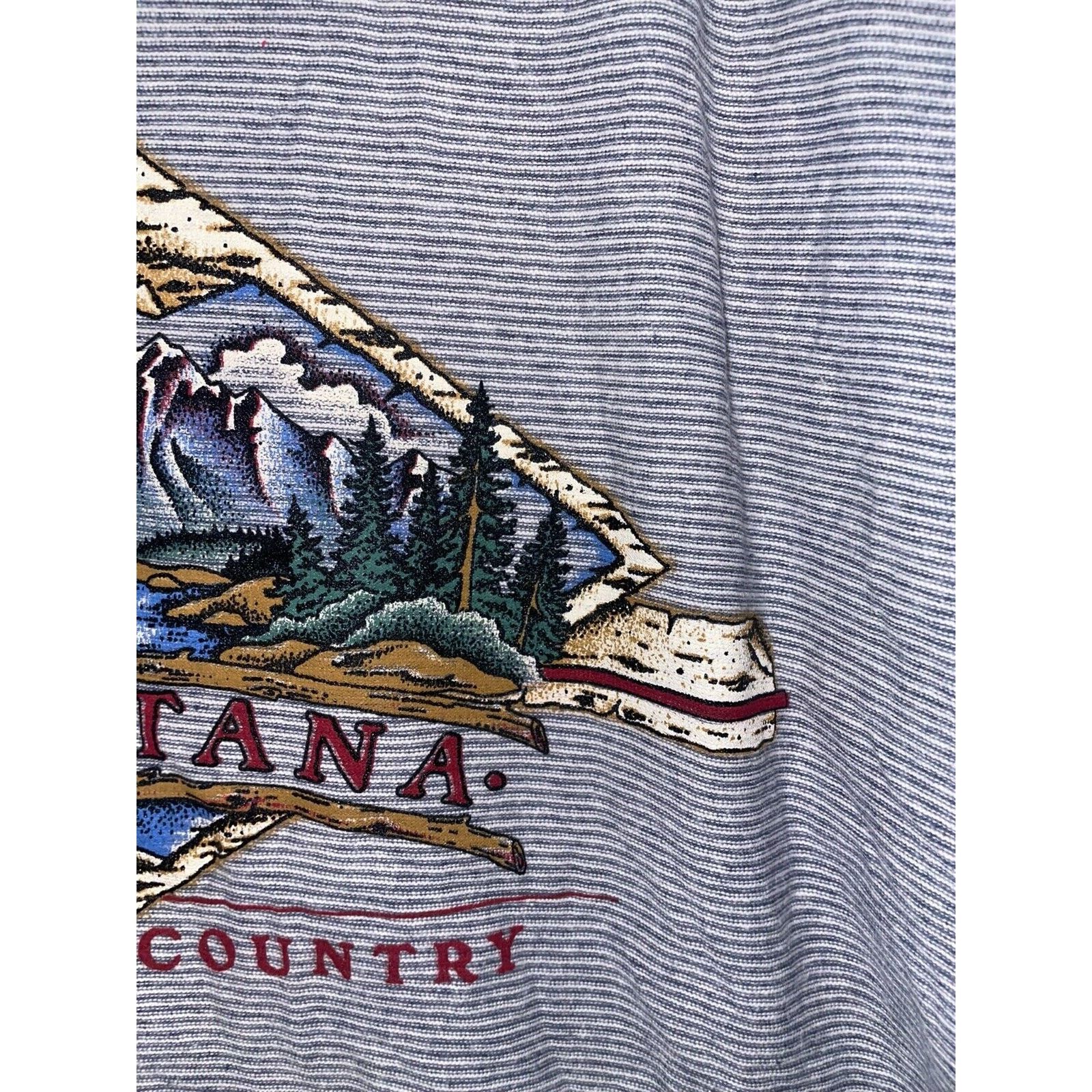 Vintage 90s Vintage MT Montana Last Best Place Shirt Tee VTG L 1990s Size US L / EU 52-54 / 3 - 5 Thumbnail