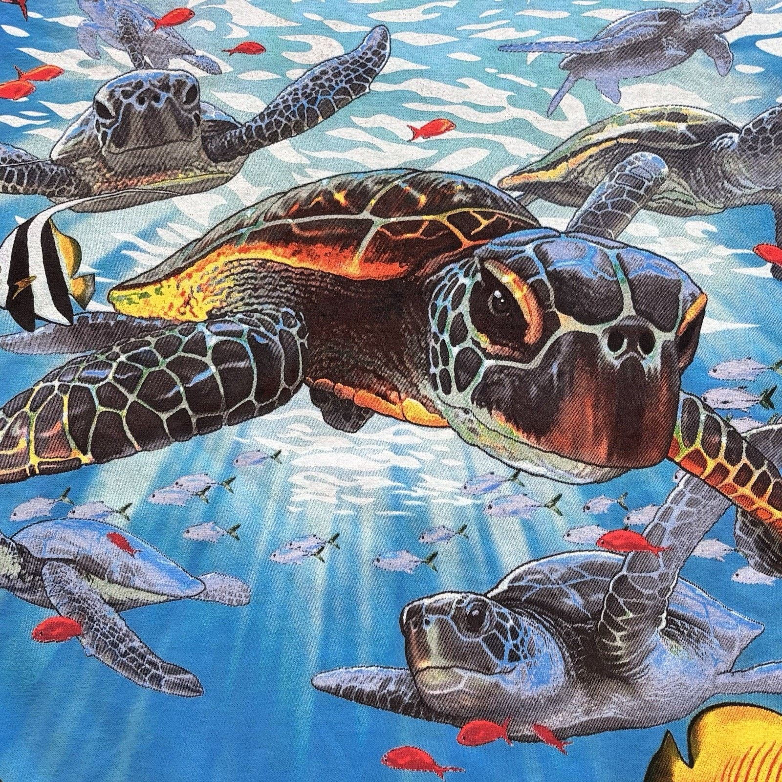 Liquid Blue Liquid Blue Sea Turtle Aquatic Nature Blue Graphic Tee Large Size US L / EU 52-54 / 3 - 5 Thumbnail