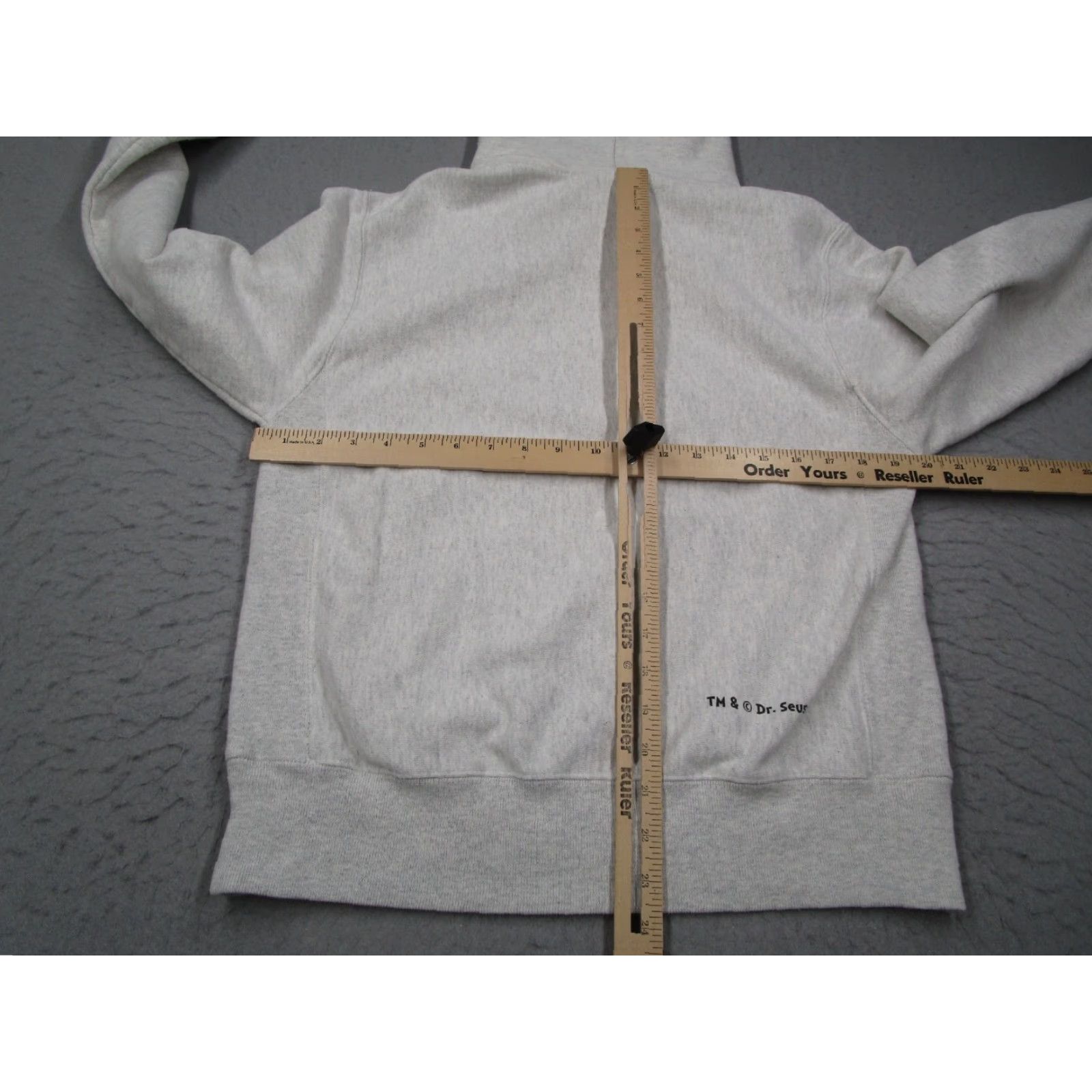 Champion VINTAGE Champion Hoodie Mens Small Gray Reverse Weave Green Eggs Champions Pullover Size US S / EU 44-46 / 1 - 6 Thumbnail