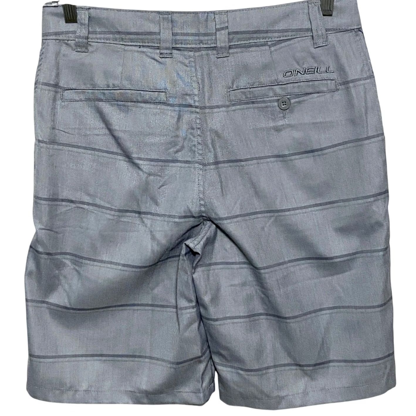 O'Neill O'Neill Shorts Striped Mens 30 NWT Flynn Skate Surf Beach Summer Athleisure Y2K Gray Size US 30 / EU 46 - 2 Thumbnail