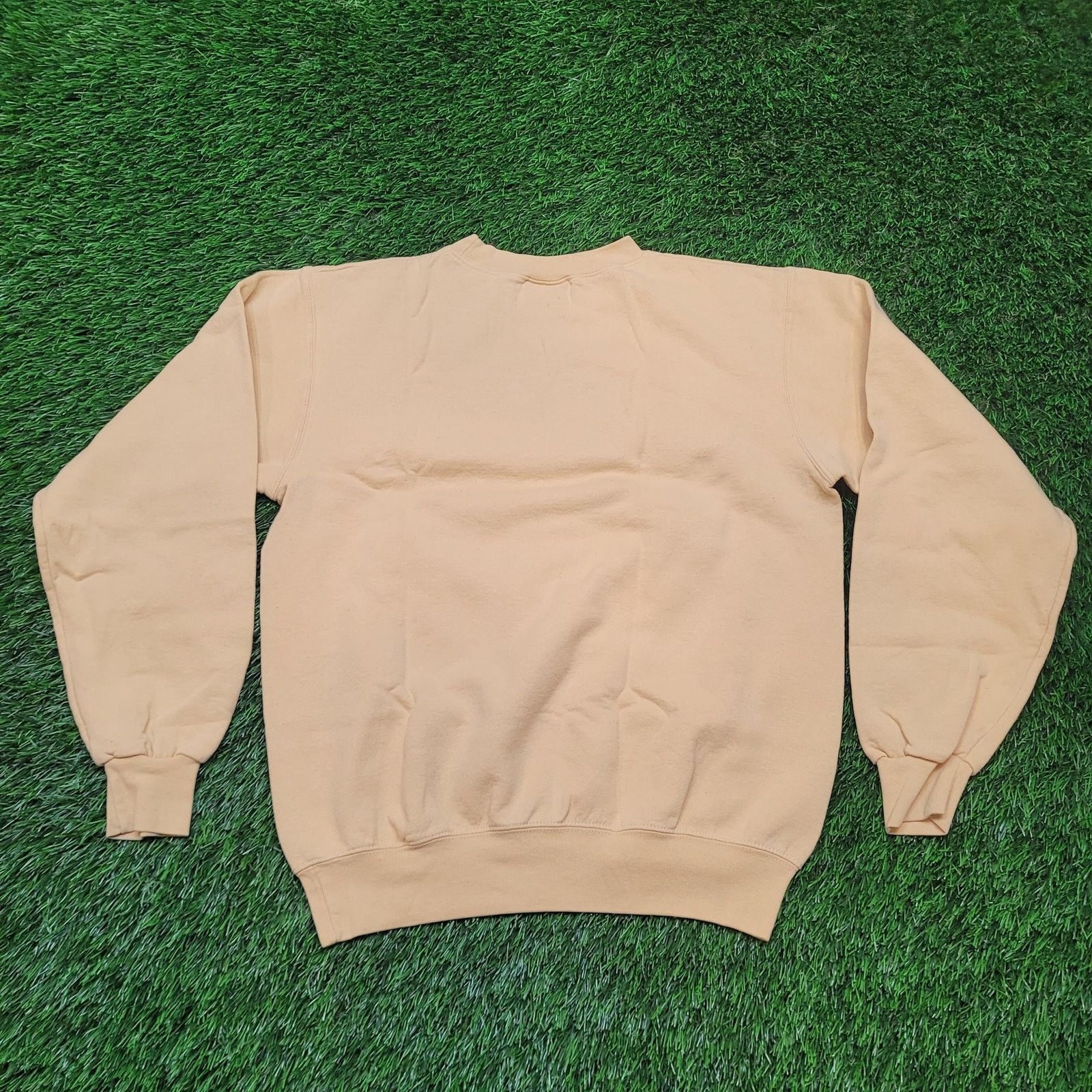 Champion VTG Y2K Champion Westminster College Sweatshirt M (Tag S) Size US M / EU 48-50 / 2 - 4 Thumbnail