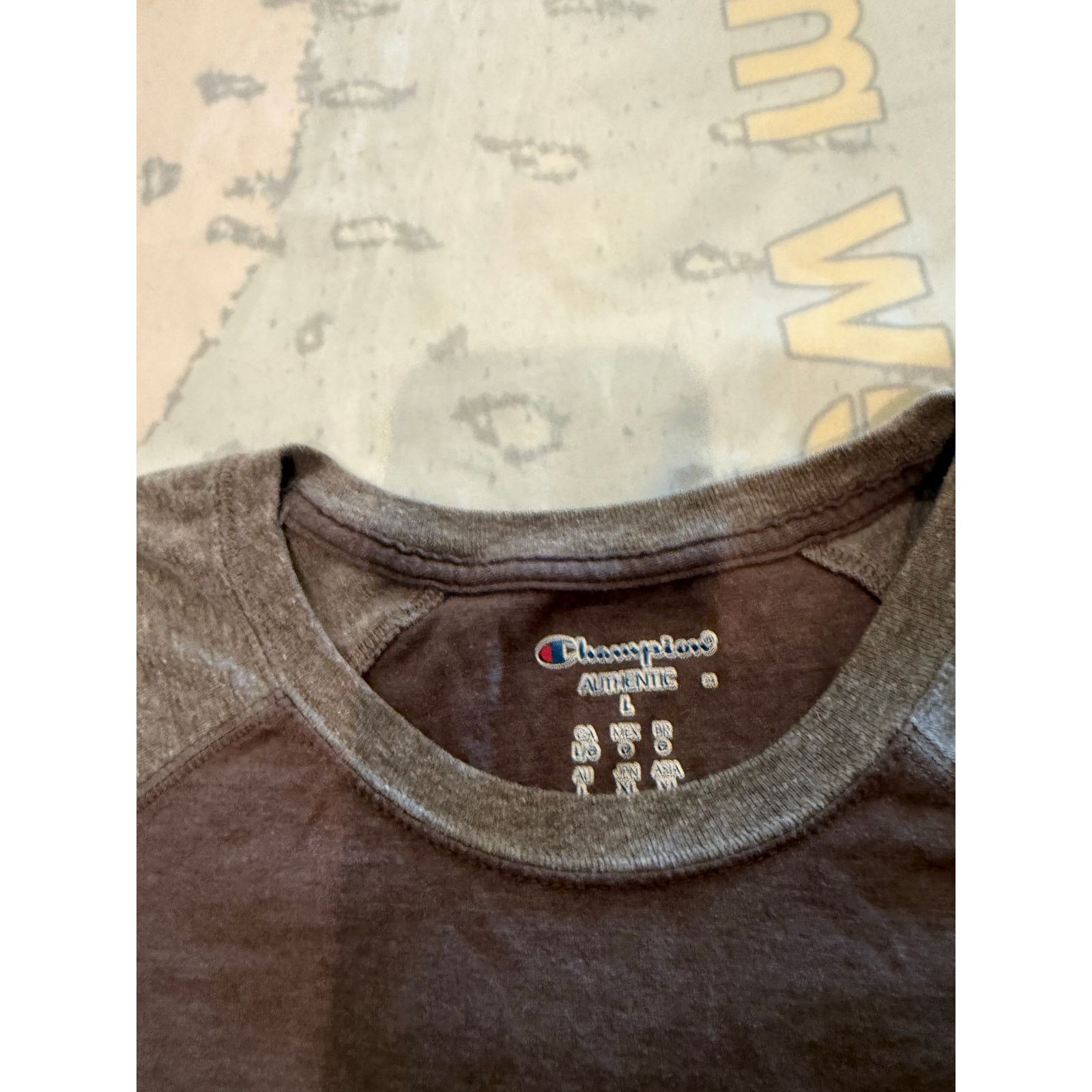 Champion Champion Gray and Black T-Shirt - Stylish and Comfy Size US L / EU 52-54 / 3 - 2 Thumbnail