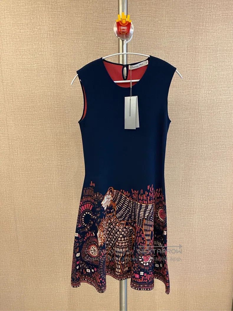 Dior Heavy Industry Embroidery Dress