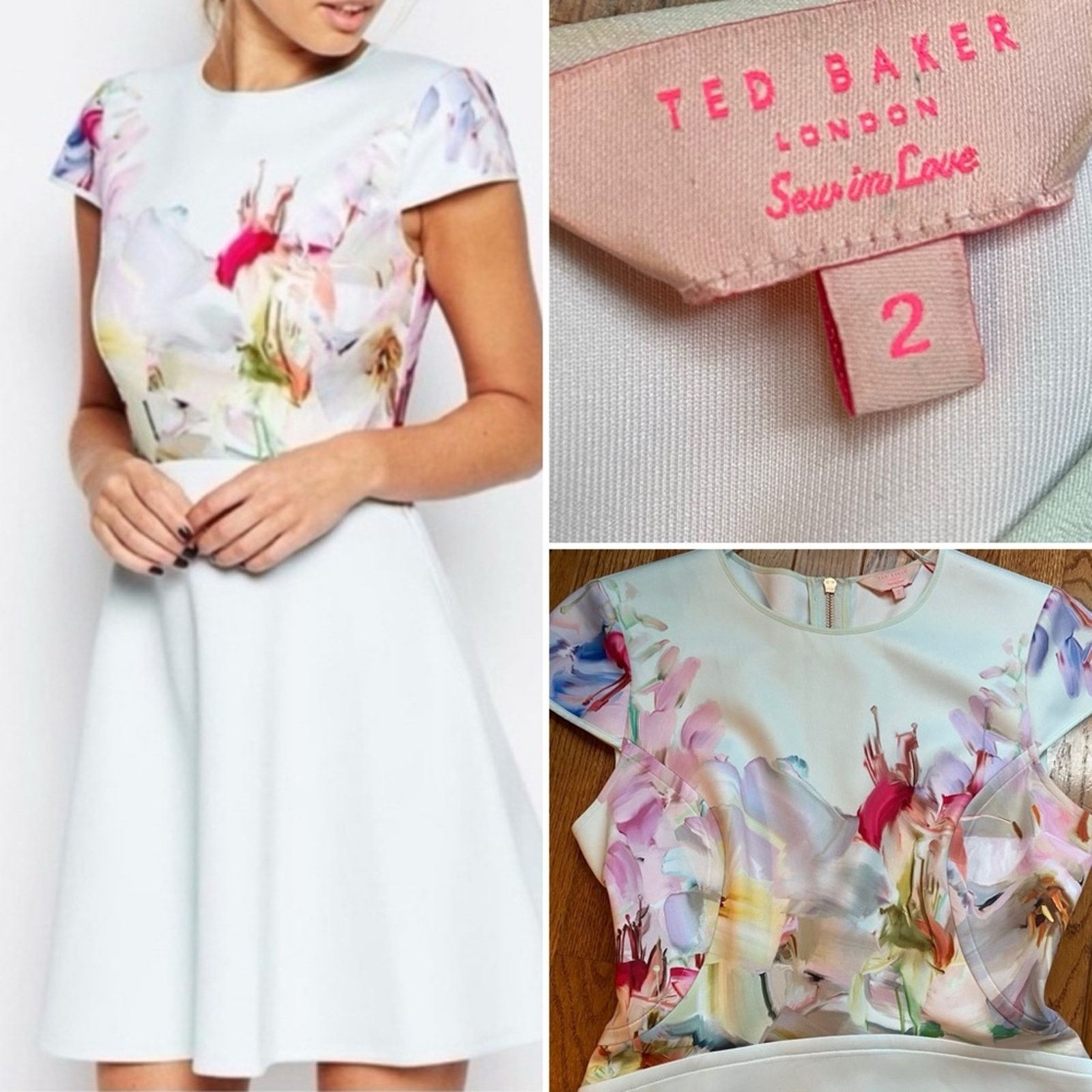 Ted Baker Rivana $295 Hanging Garden Floral Dress TB2 US6