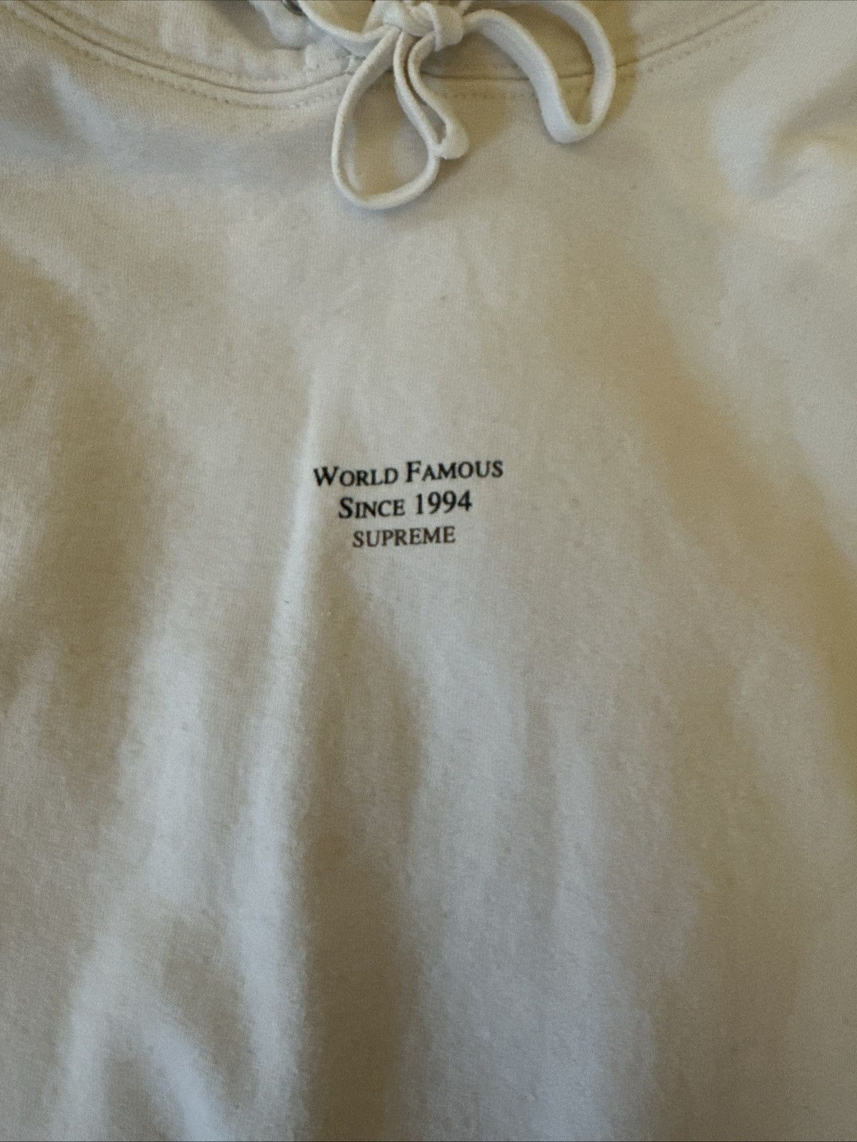 Supreme Supreme World Famous Micro Hooded Sweatshirt Size M Size US M / EU 48-50 / 2 - 3 Thumbnail